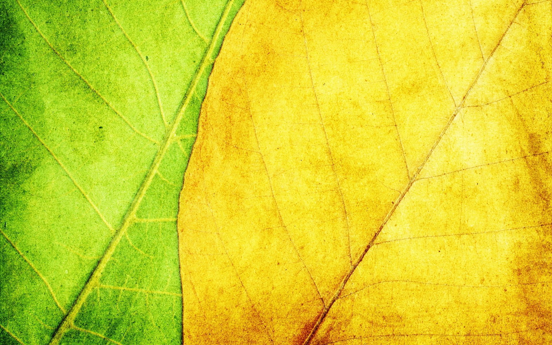 Yellow And Green Wallpapers