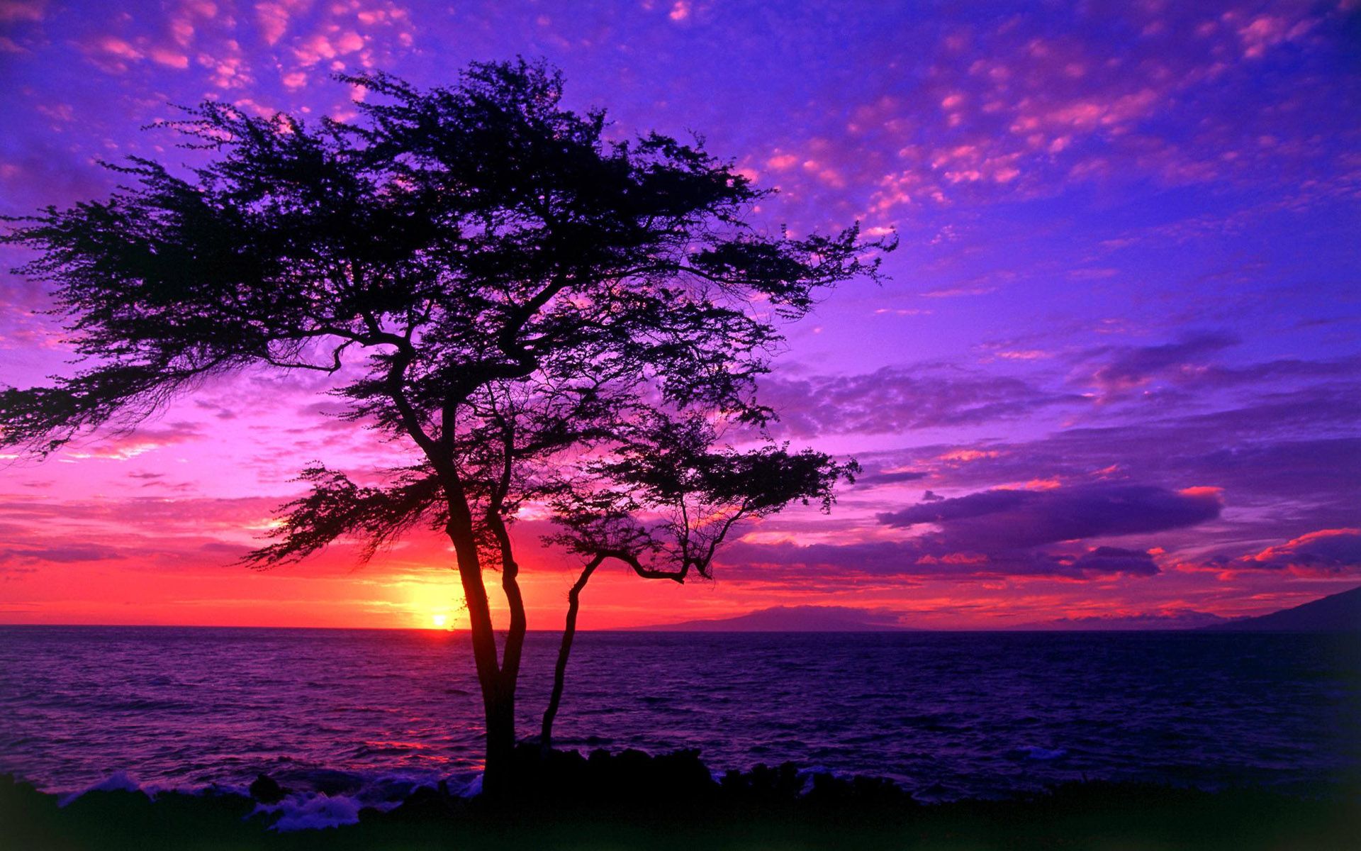 Yellow And Purple Sunset Wallpapers