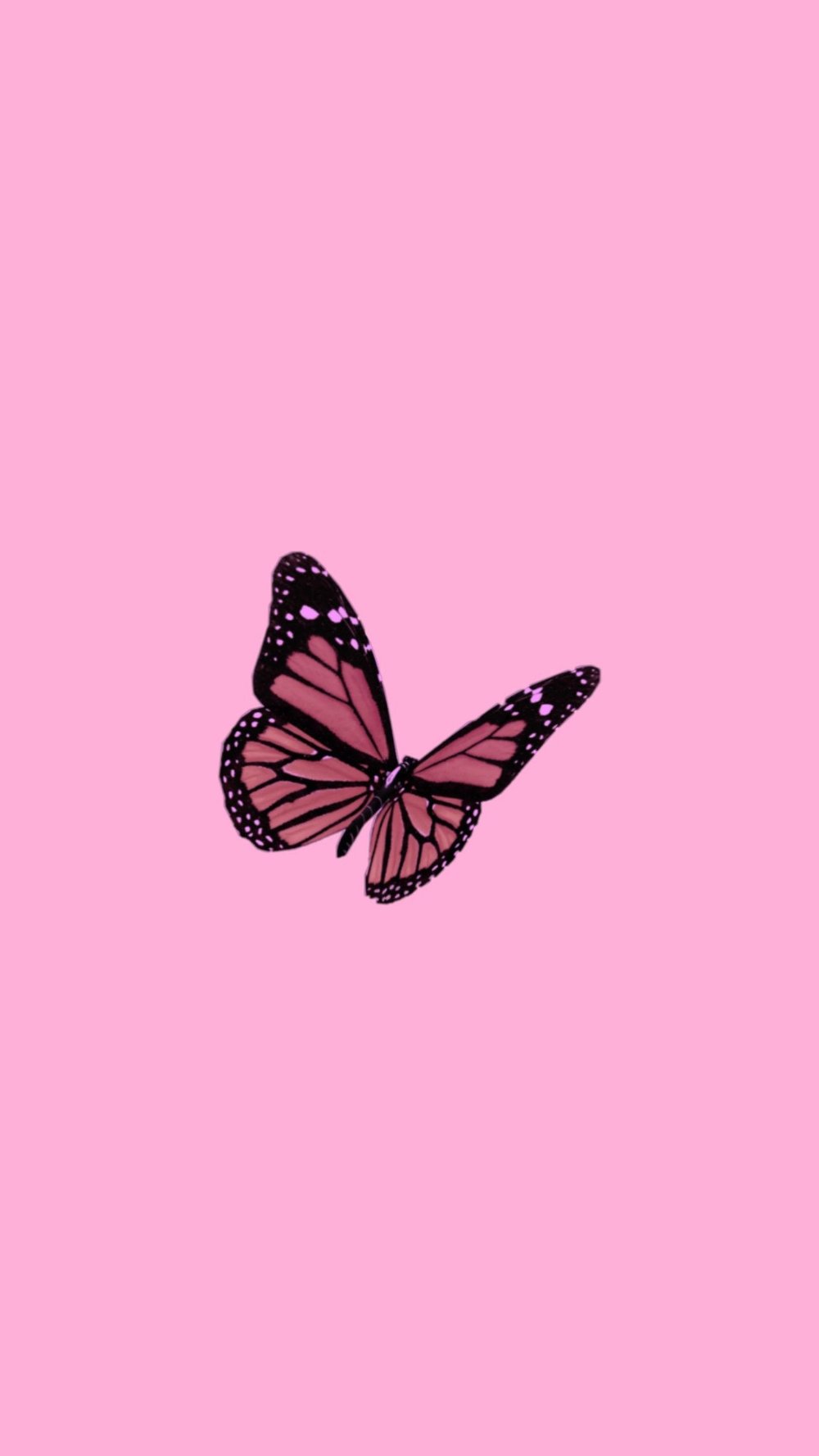 Yellow Butterfly Aesthetic Wallpapers