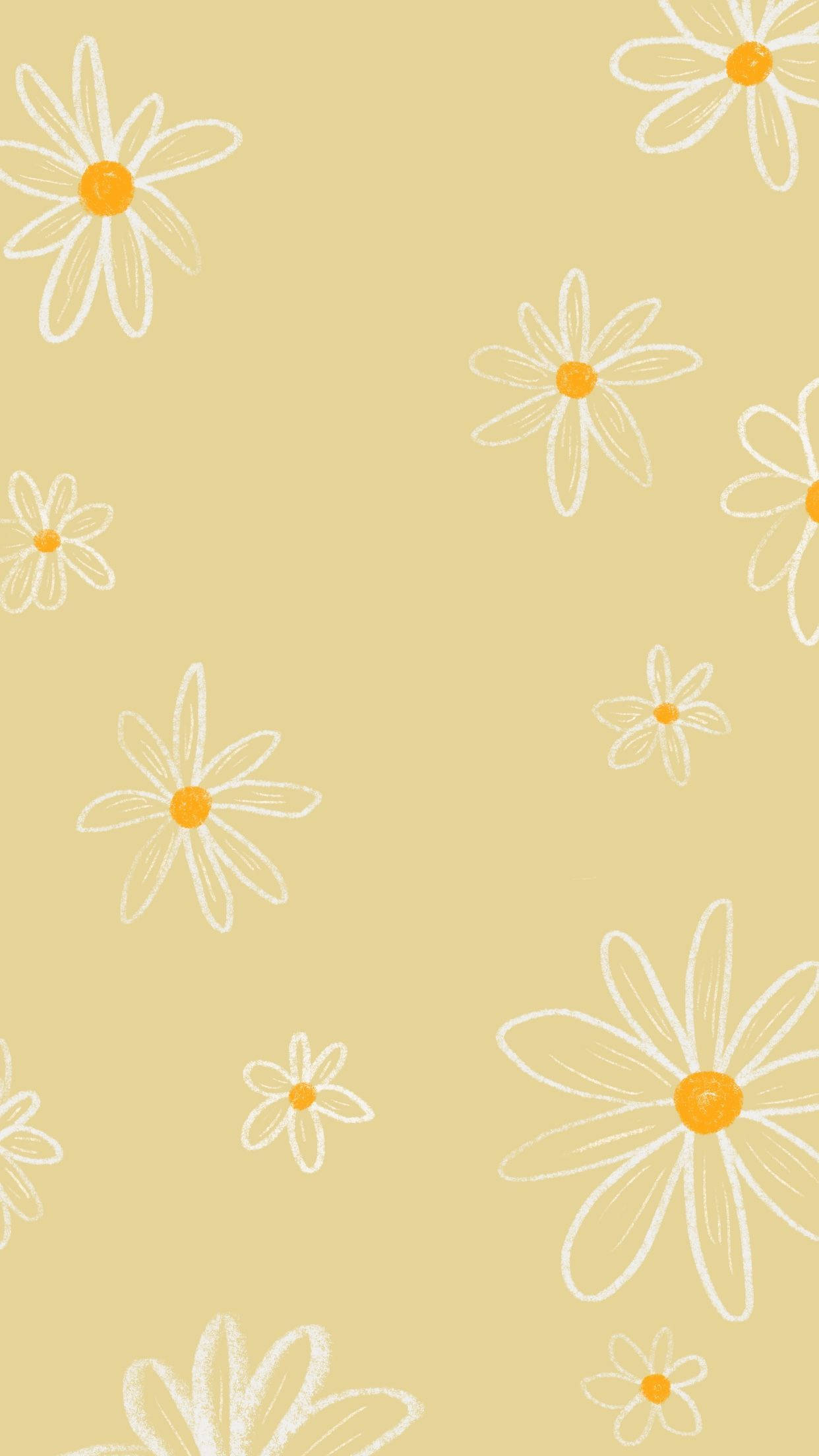 Yellow Daisy Wallpapers