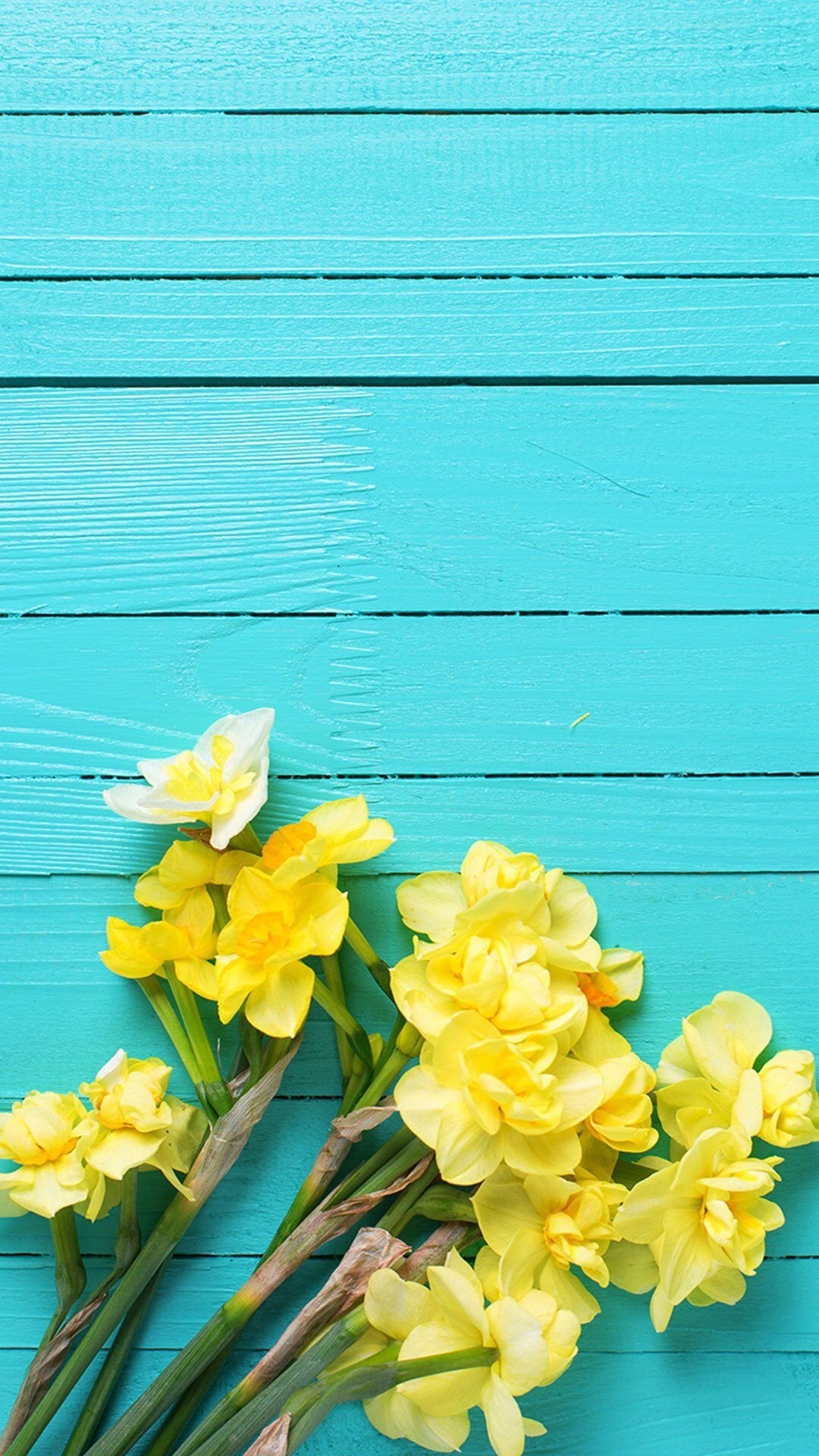 Yellow Hd Iphone Wallpapers