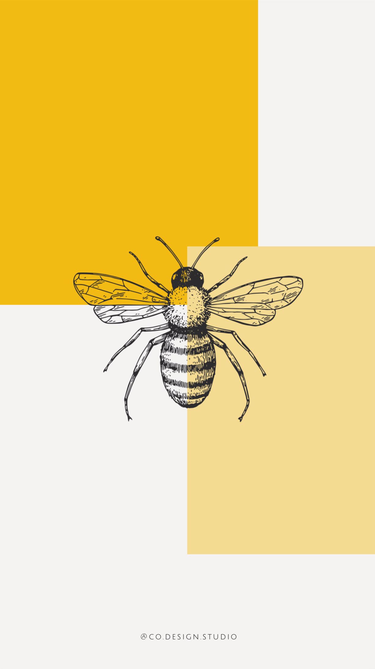 Yellow Honey Bee Wallpapers
