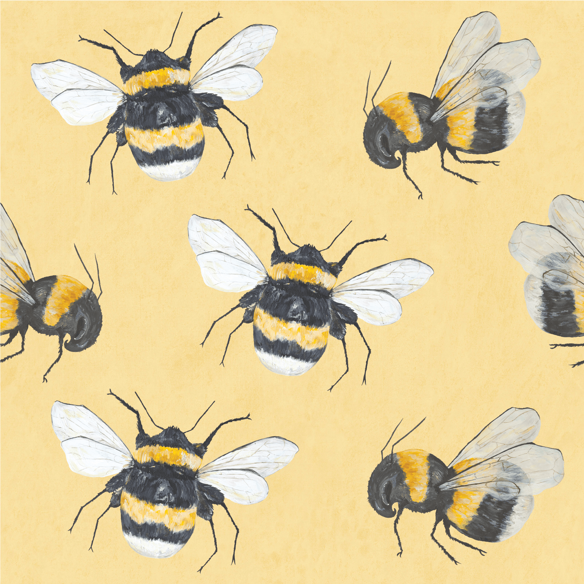 Yellow Honey Bee Wallpapers