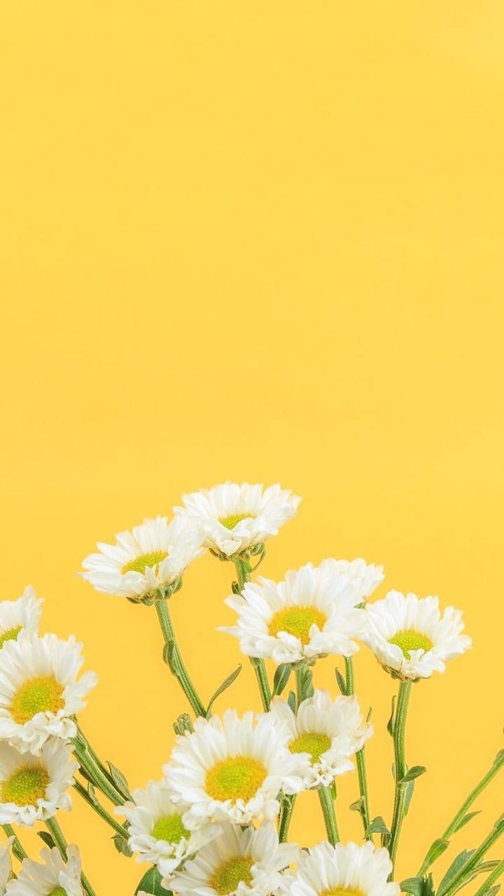 Yellow Pastel Tumblr Wallpapers