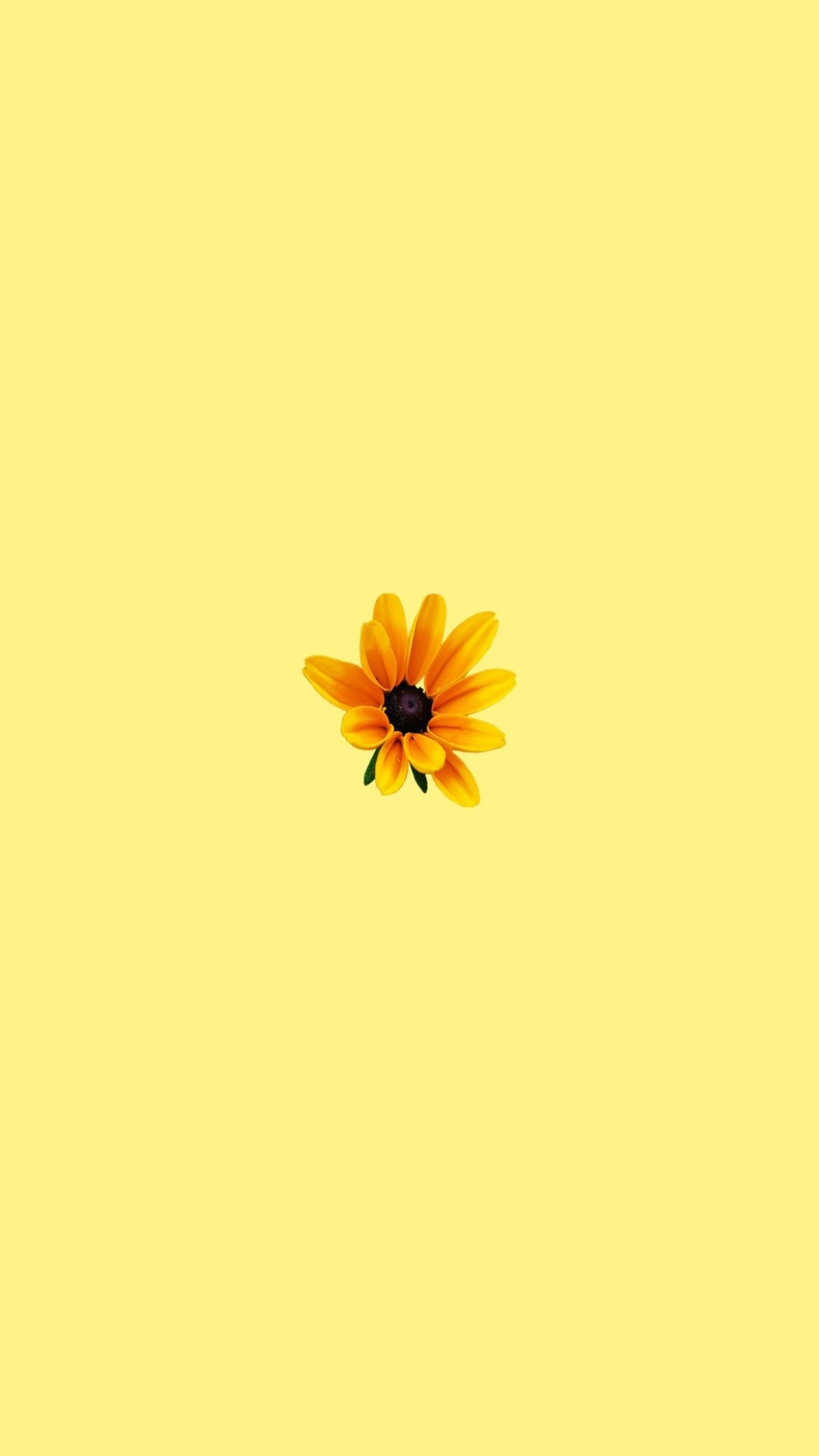 Yellow Pastel Tumblr Wallpapers