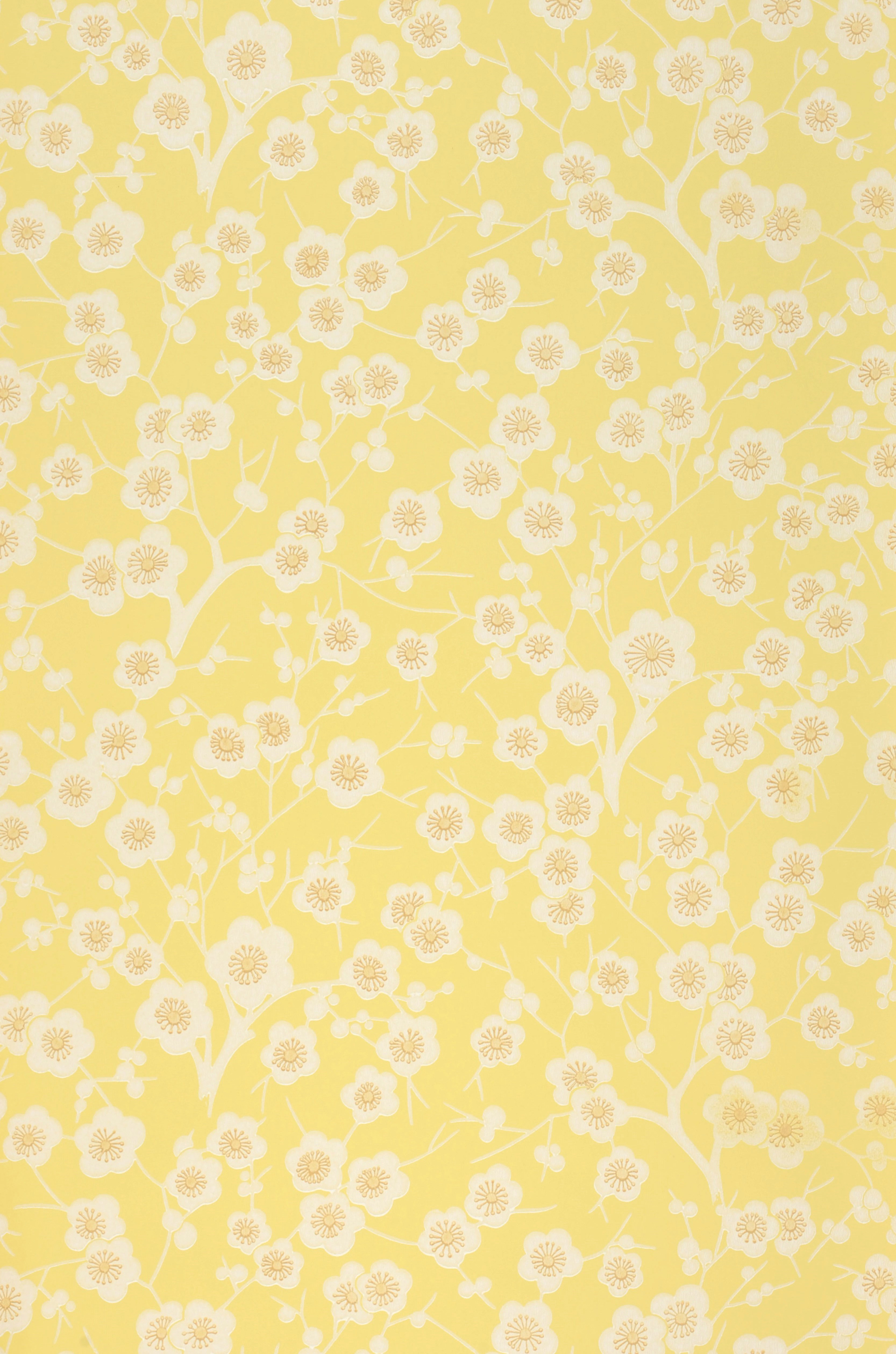 Yellow Pastel Tumblr Wallpapers