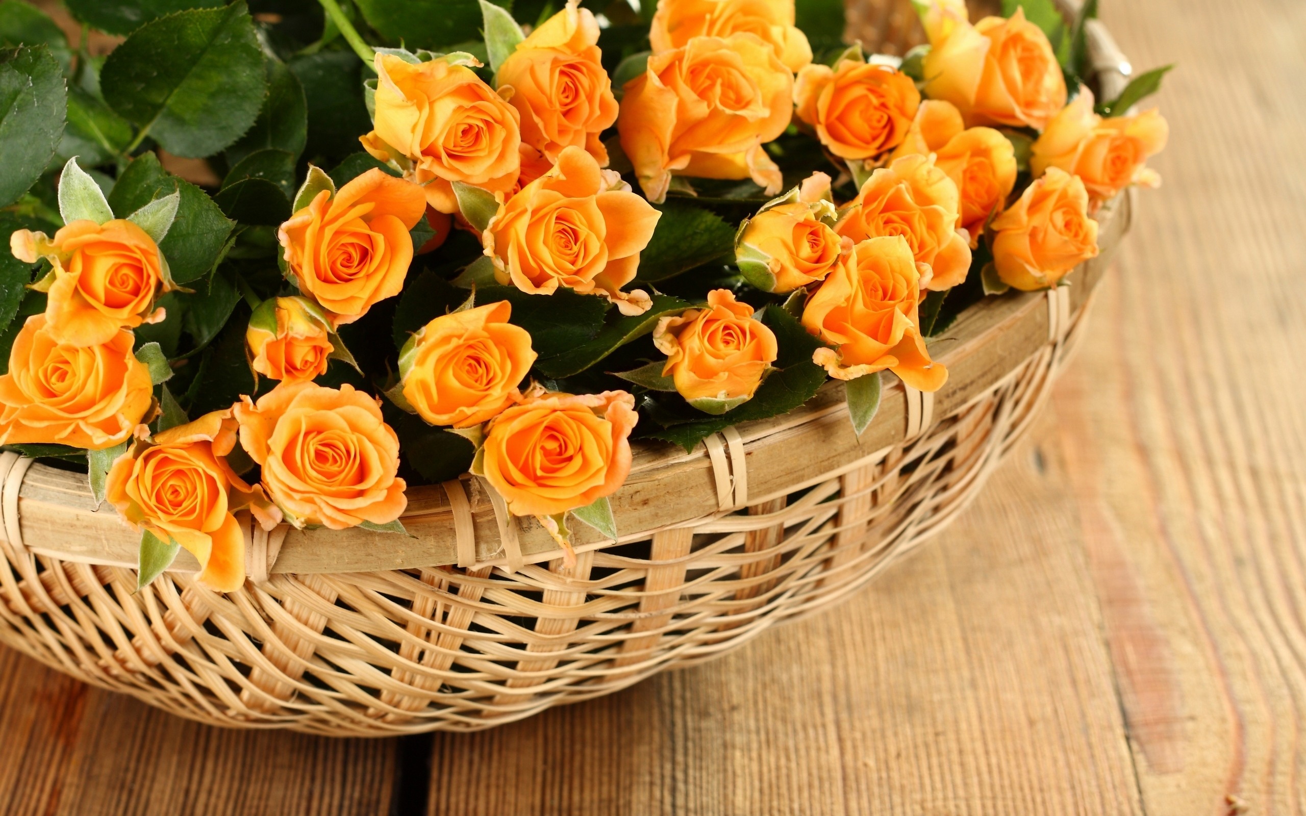 Yellow Rose Flower Wallpapers