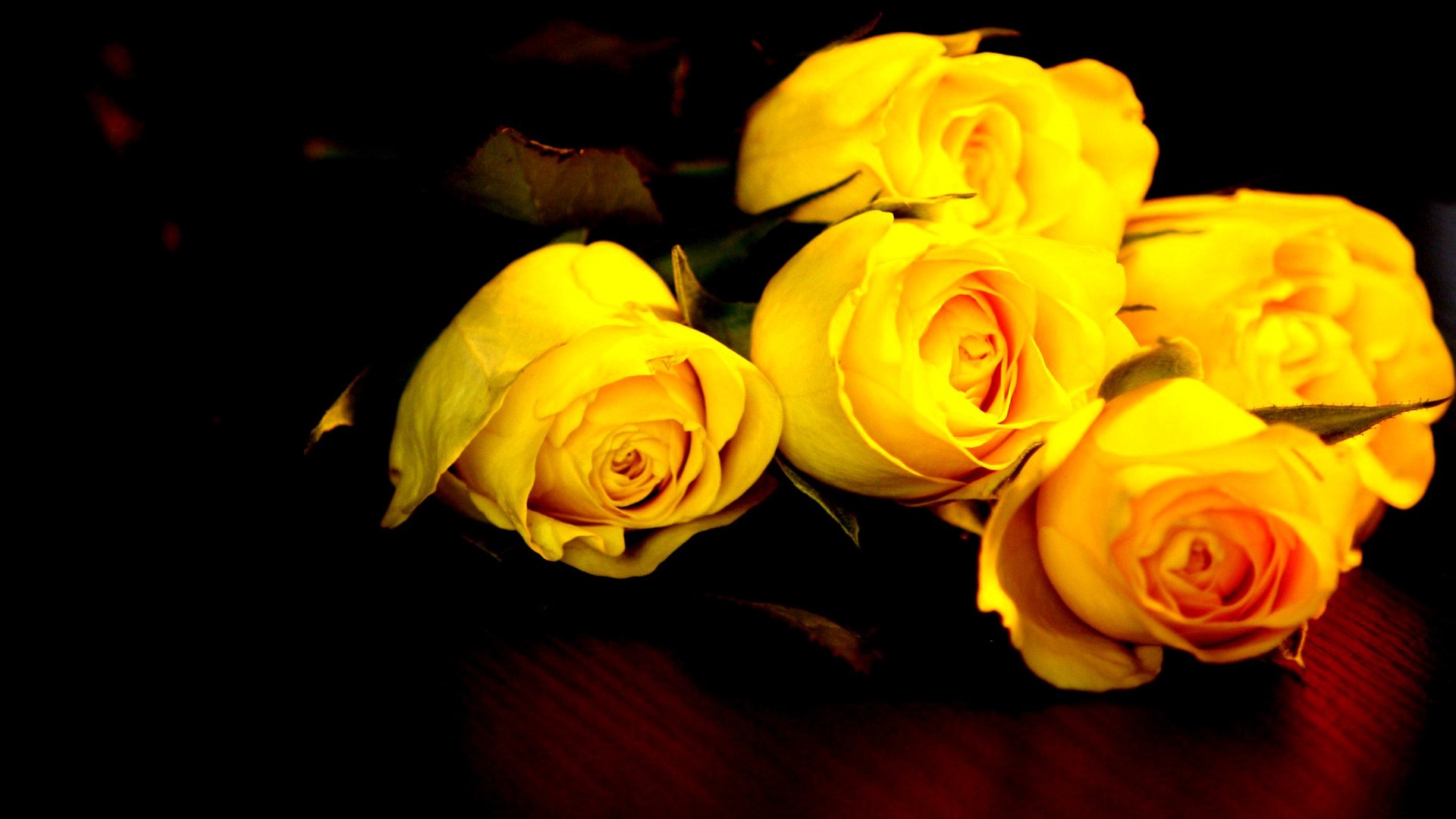 Yellow Roses Wallpapers