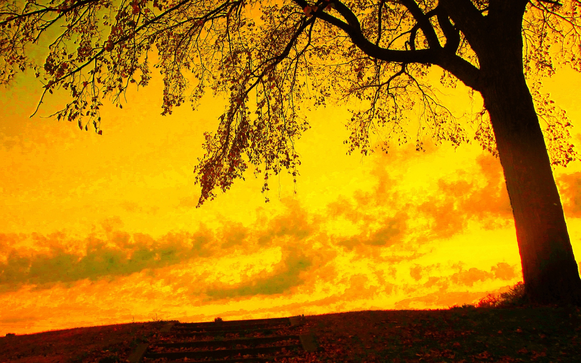 Yellow Sky Wallpapers