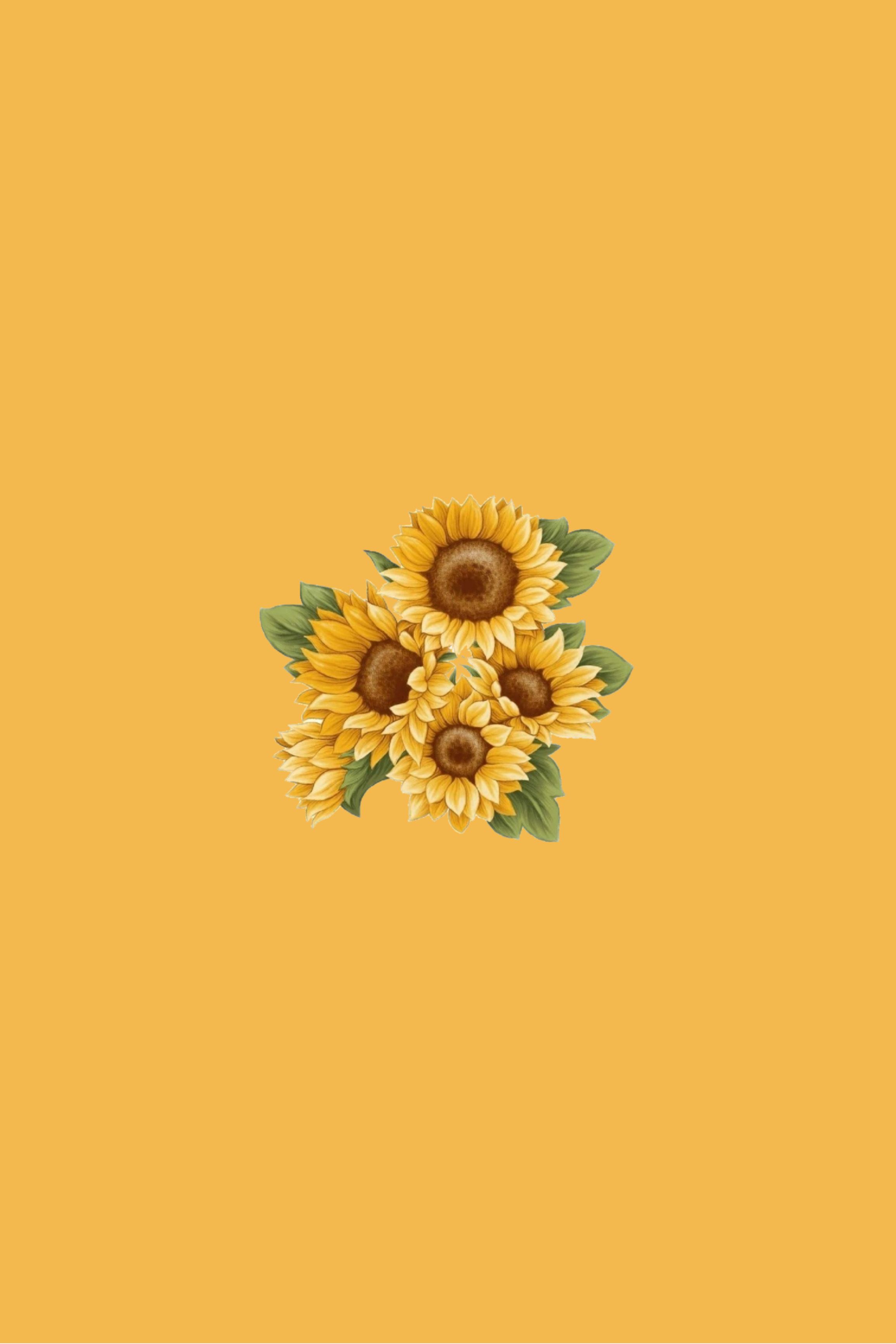 Yellow Sunflower Wallpapers