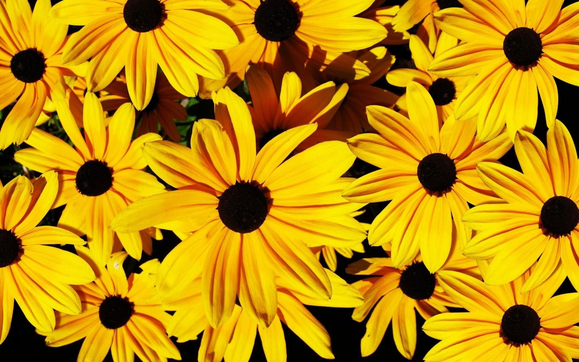 Yellow Tumblr Laptop Wallpapers