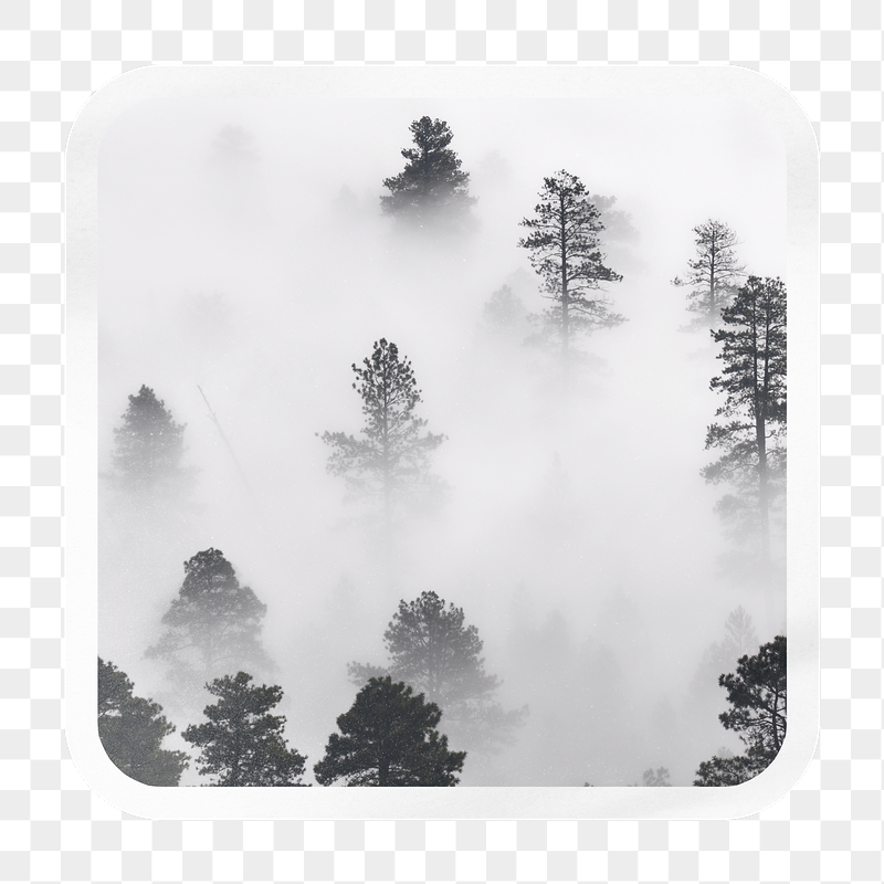 White Fog Background