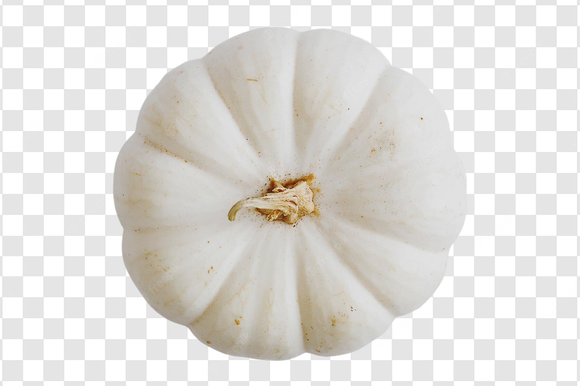 White Pumpkin Background