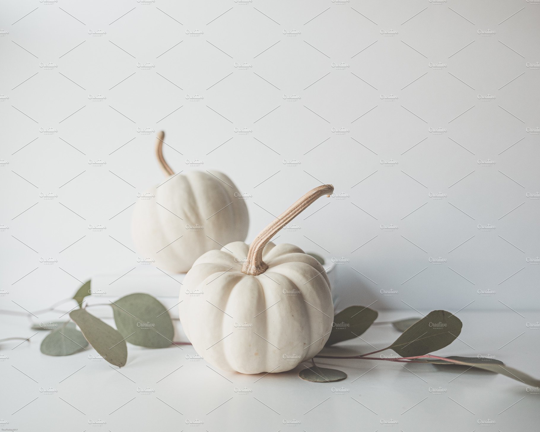 White Pumpkin Background