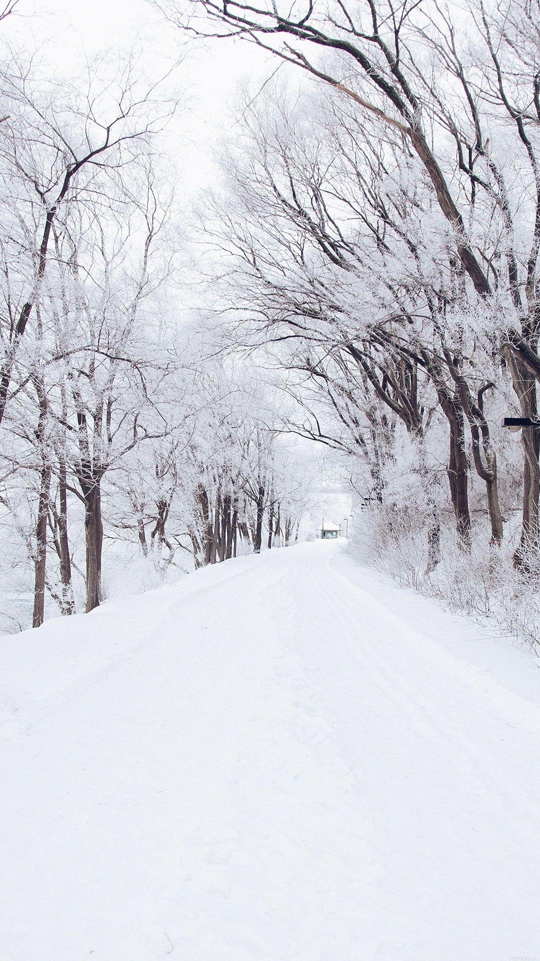 White Winter Background