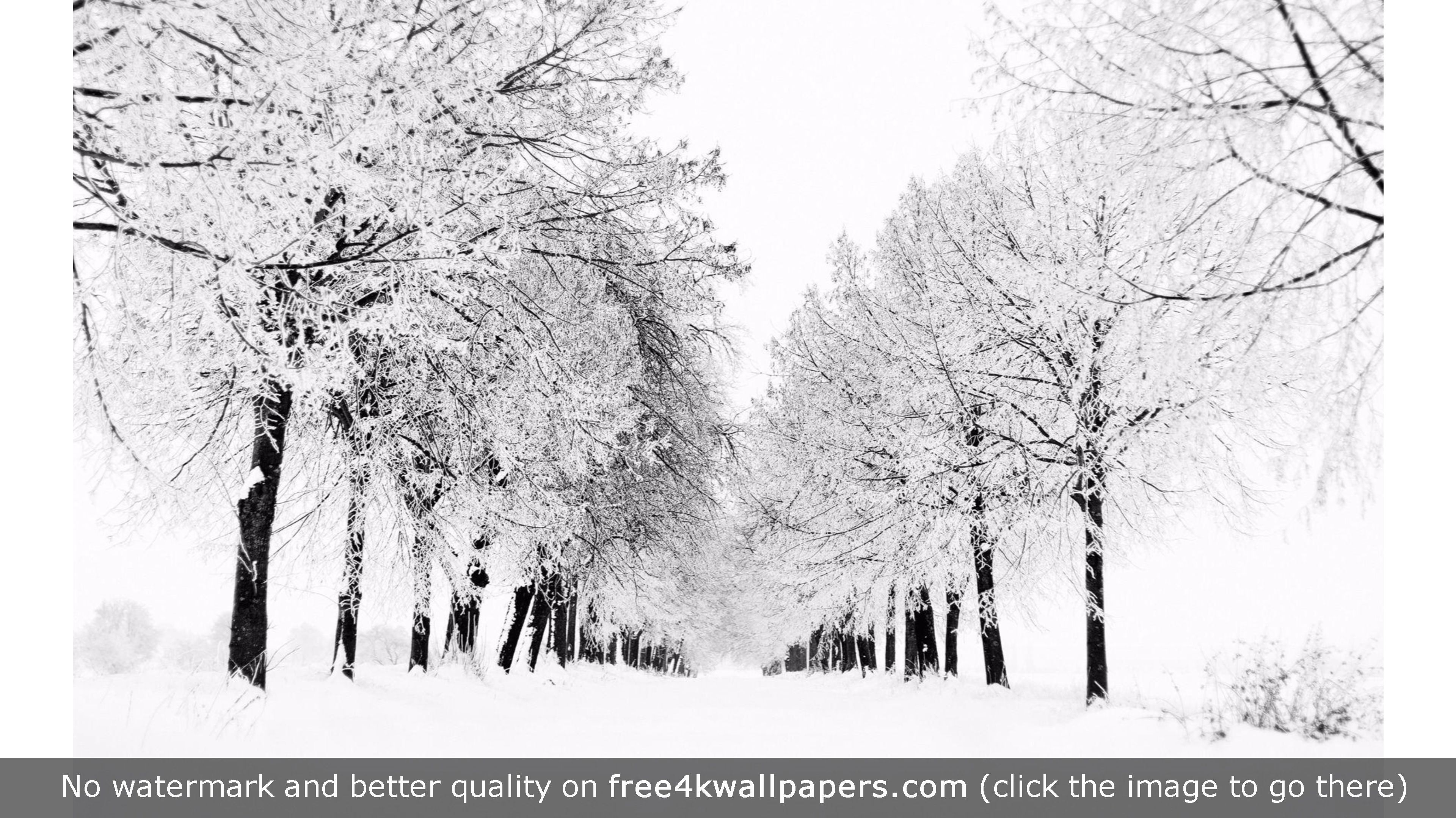 White Winter Background