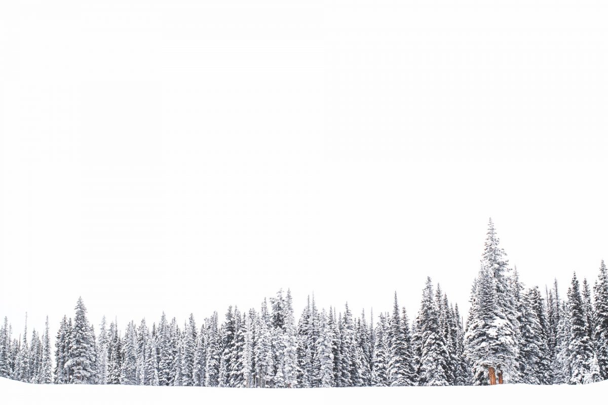 White Winter Background