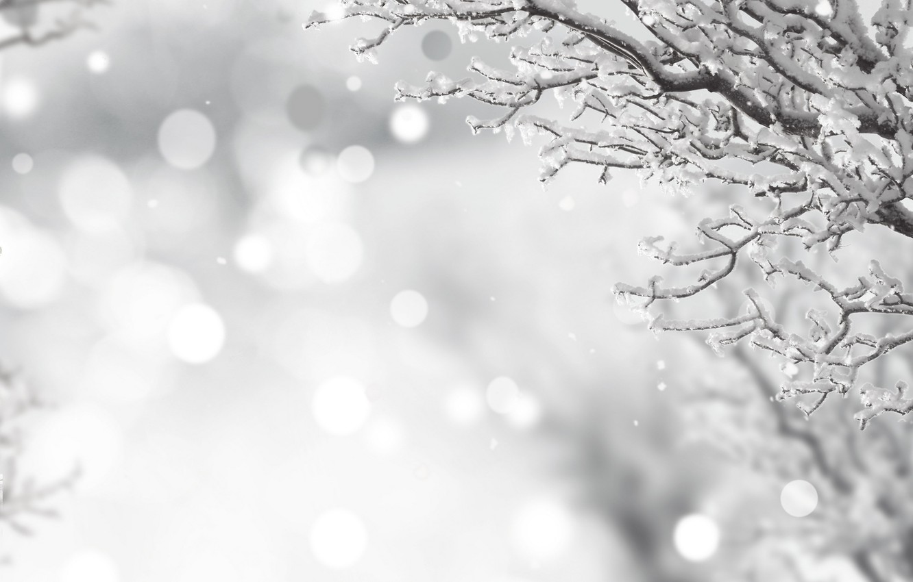 White Winter Background