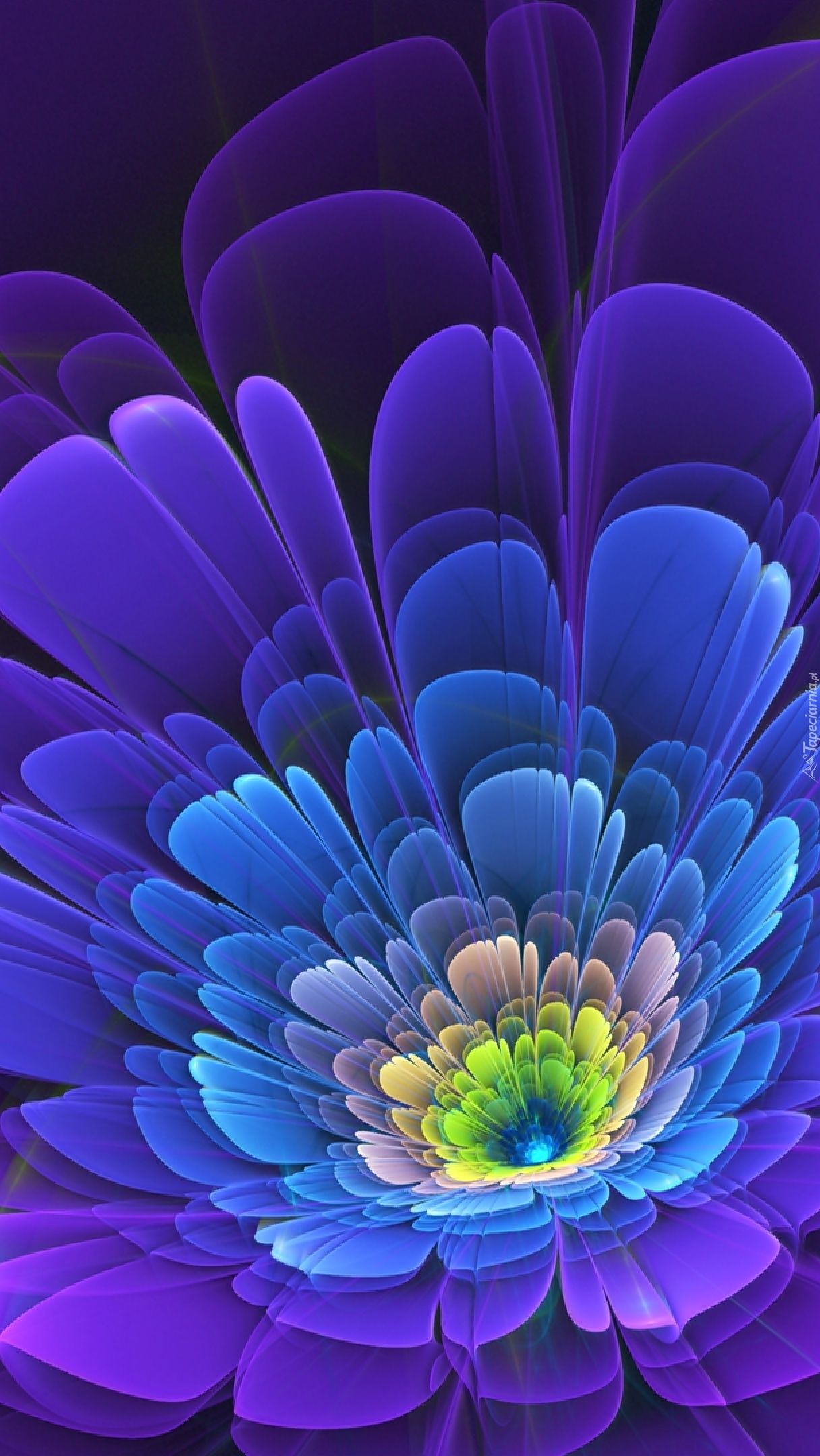 Orange And Blue Glowing Fractal Flowers Wallpapers