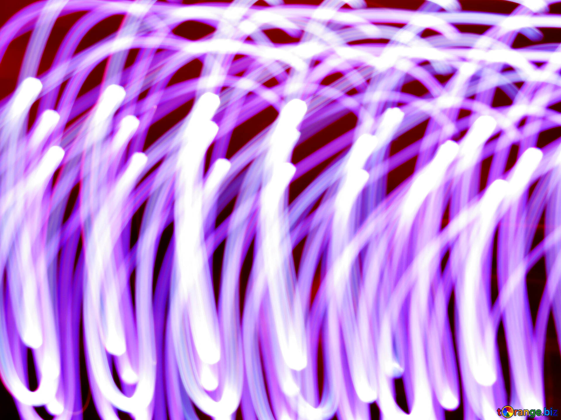 Purple Glowing Lines Wallpapers