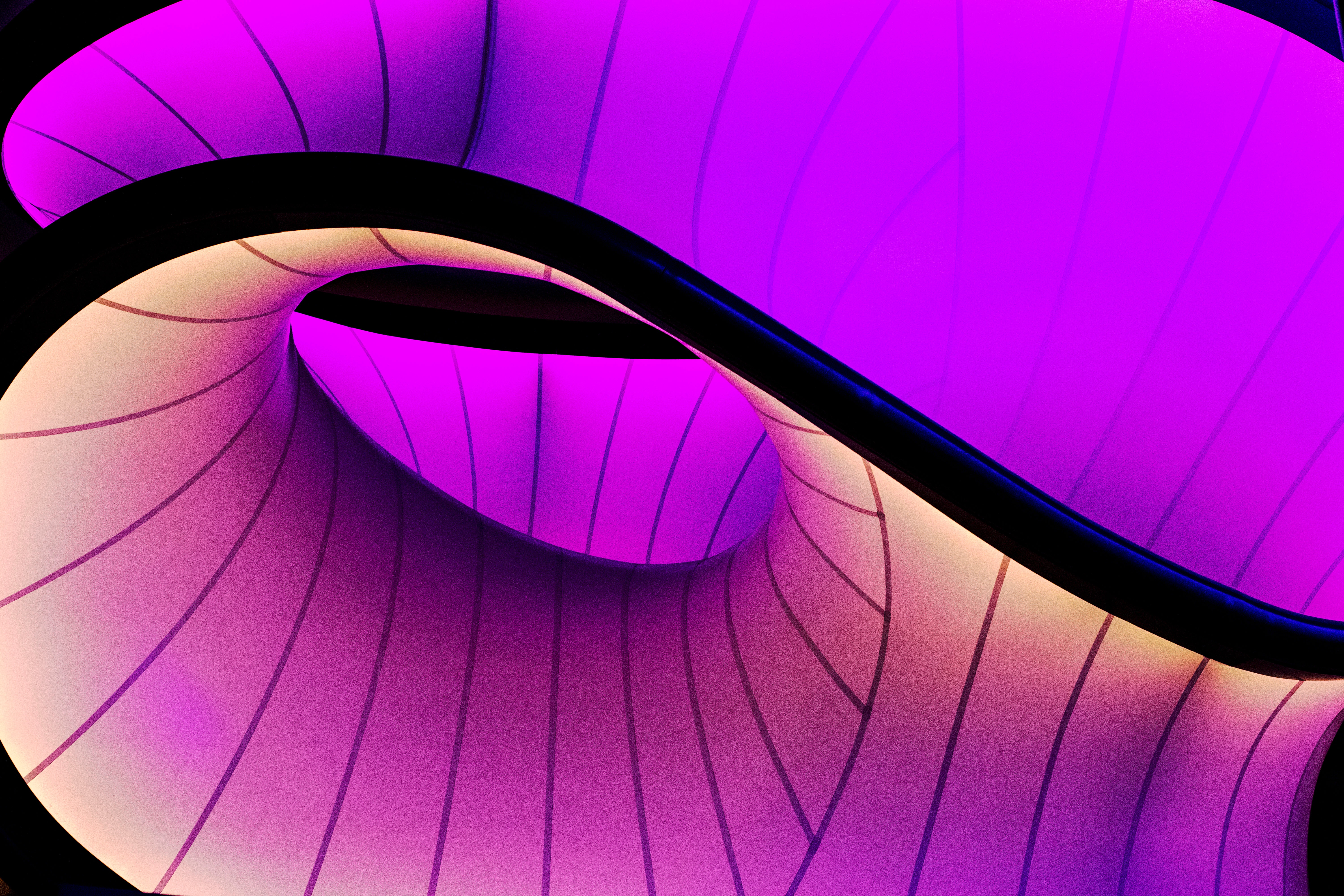 Purple Glowing Lines Wallpapers