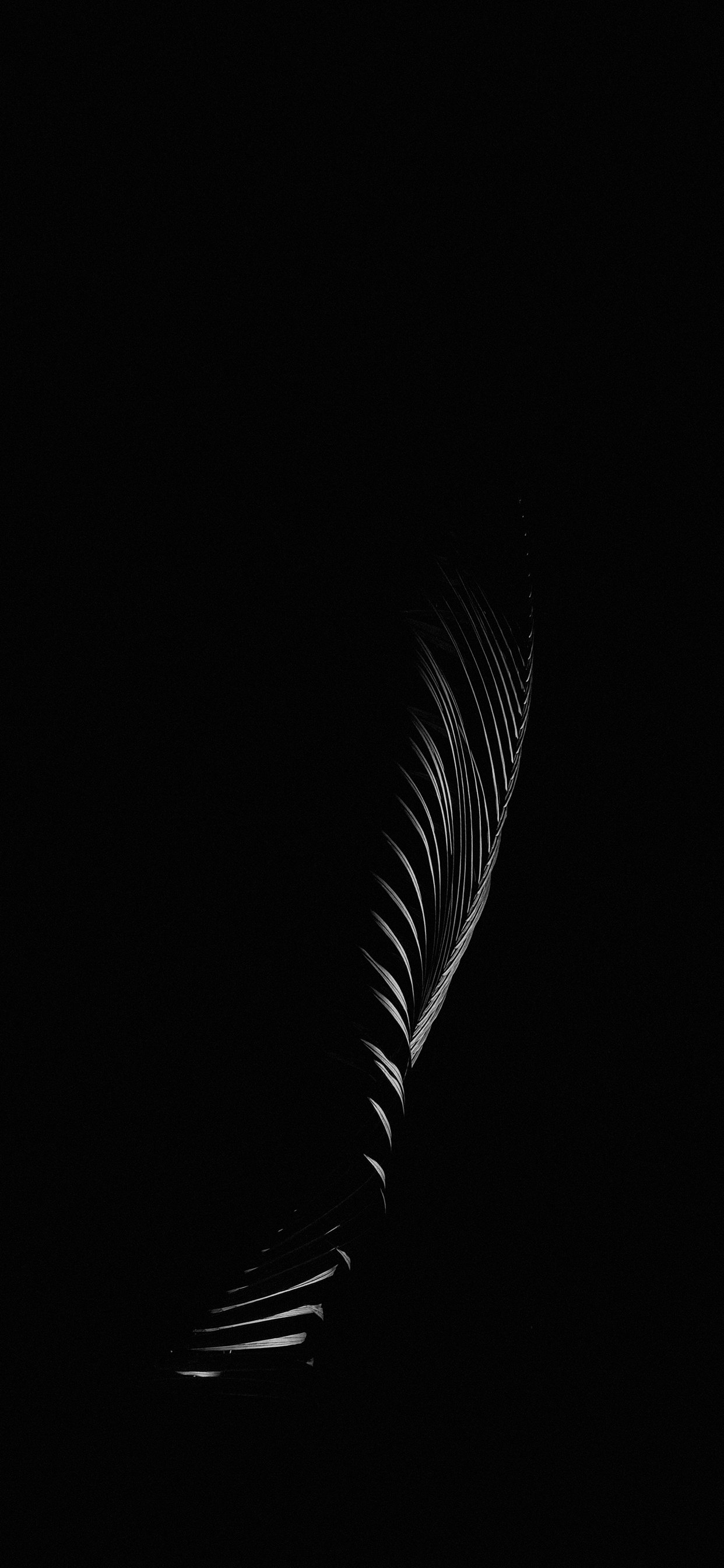 Iphone 11 Pro Dark Wallpapers