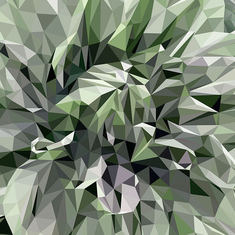 Multiply Polygon Art Wallpapers