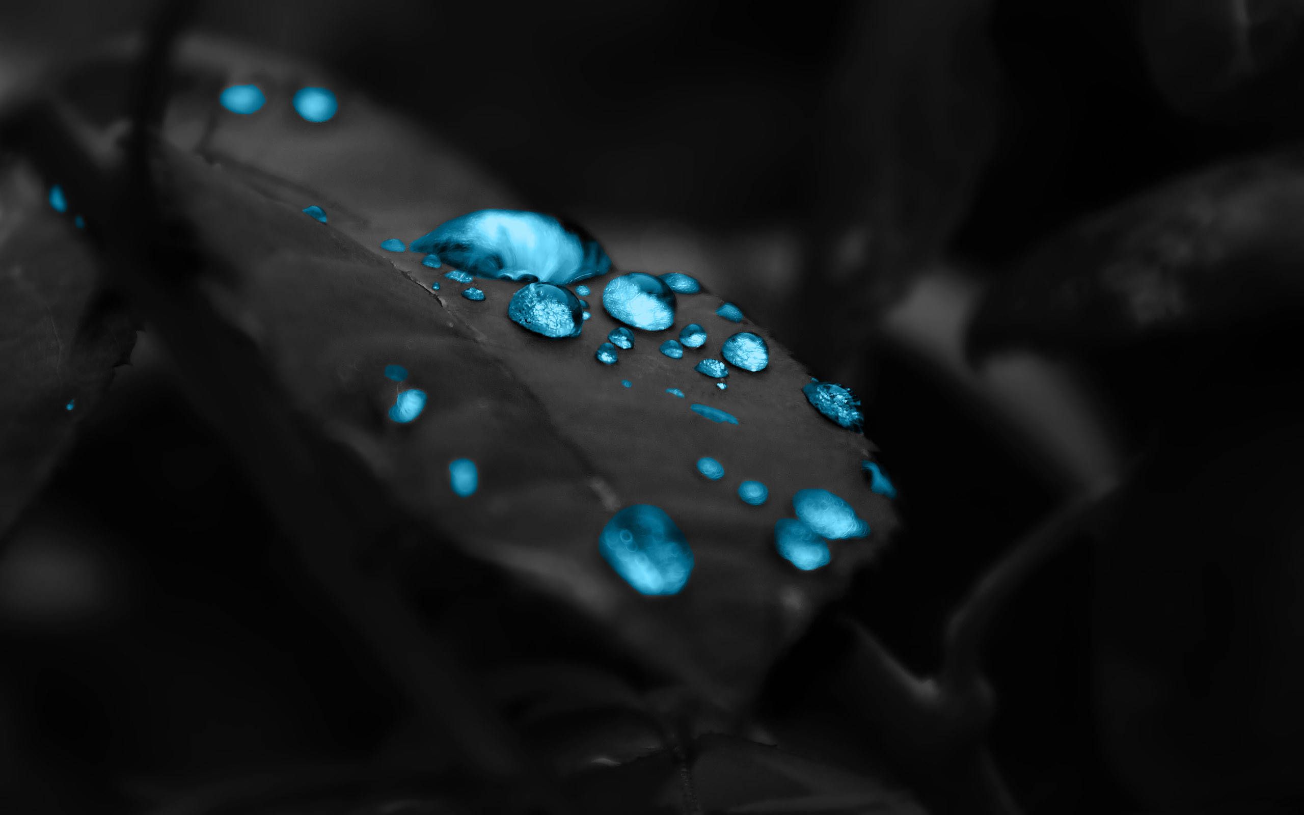 Blue Macro Artwork Wallpapers