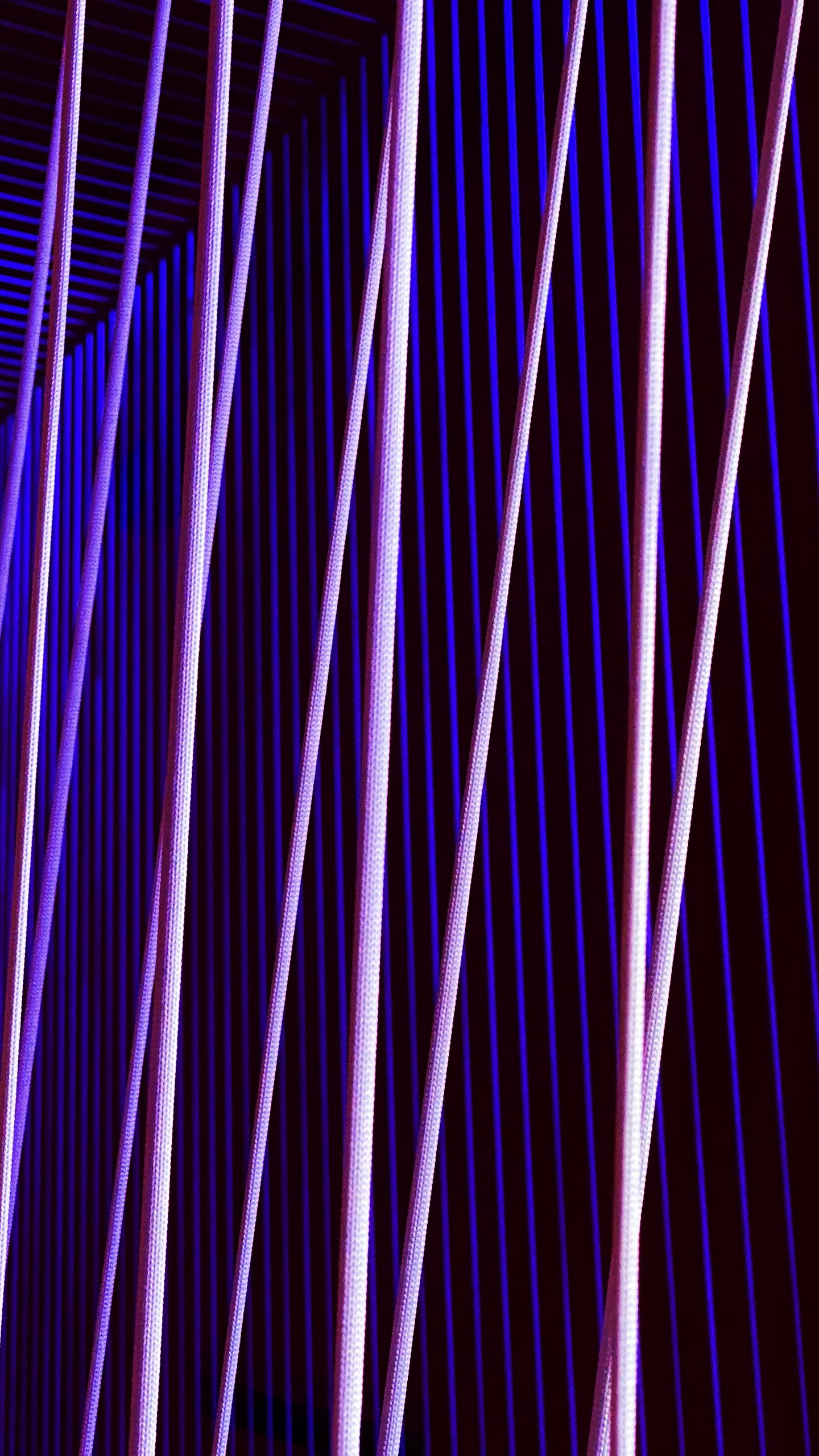 Lines, Stripes, Purple Wallpapers