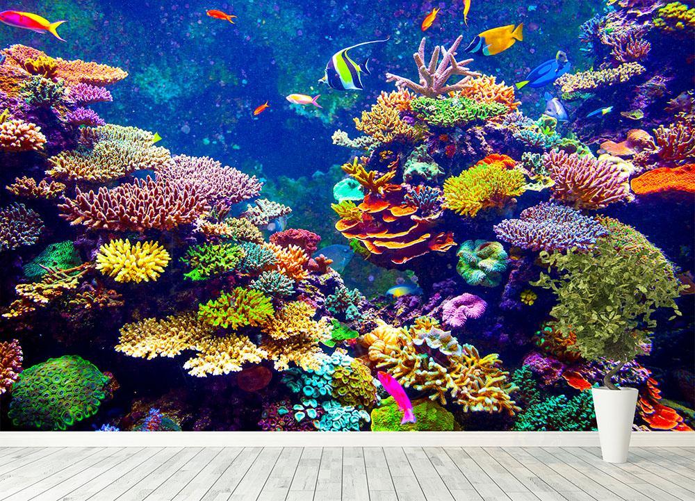 Abstract Coral Reef Wallpapers