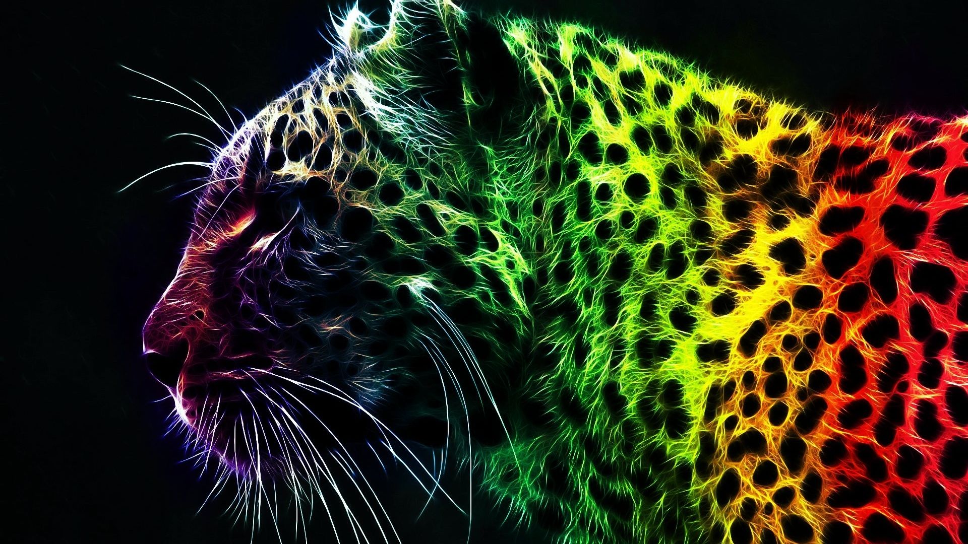 Abstract Animals Wallpapers