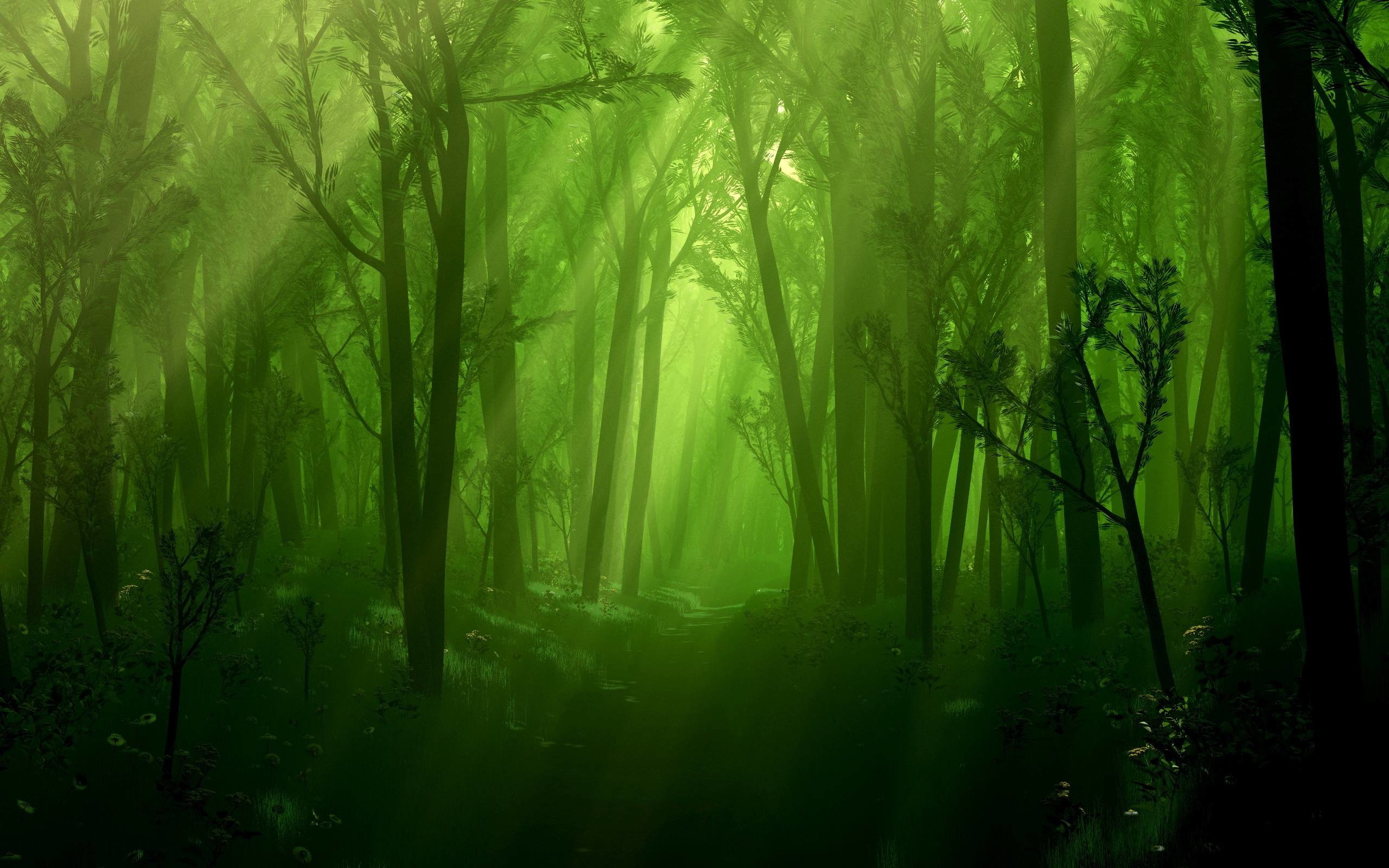 Abstract Forest Wallpapers