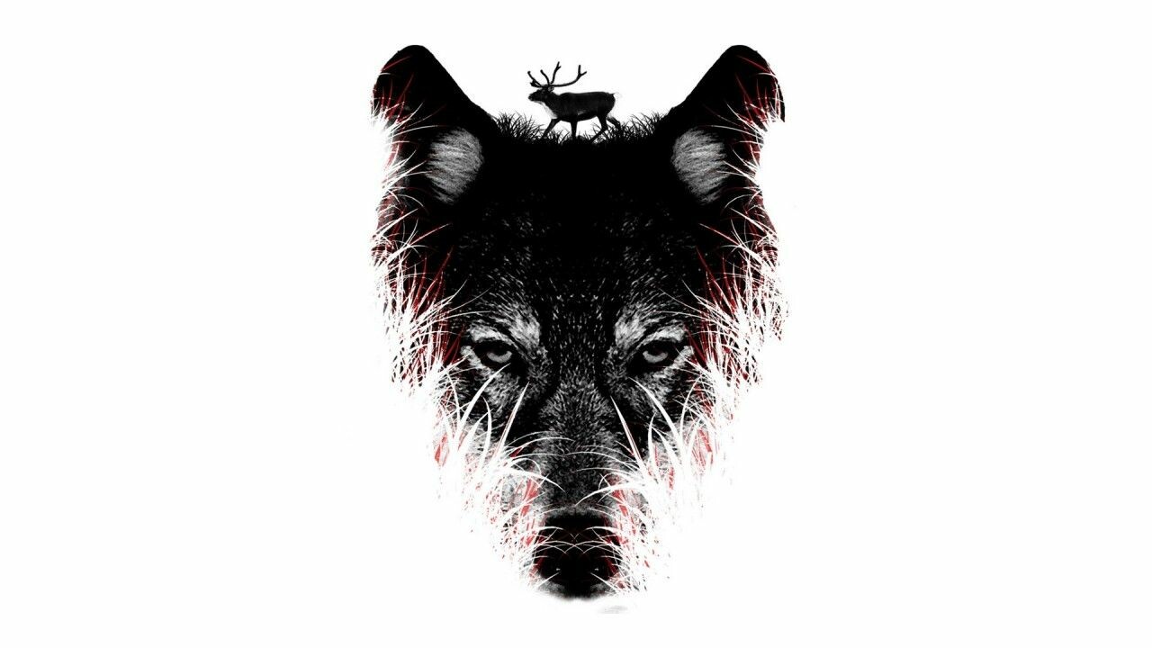 Abstract Wolf Wallpapers