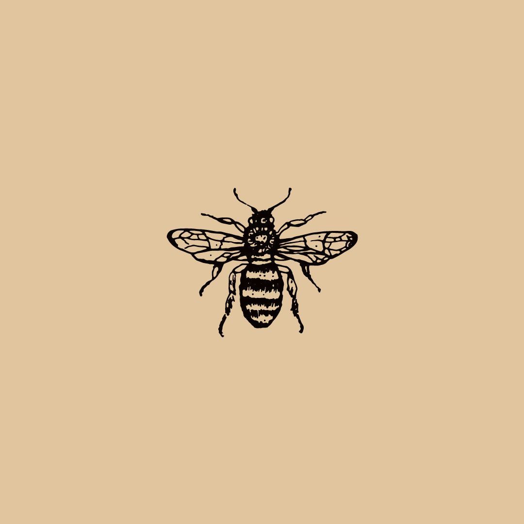 Aesthetic Bee Wallpapers