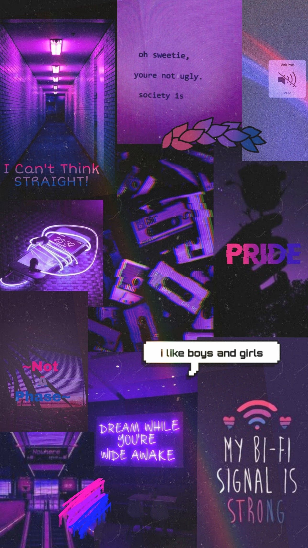 Aesthetic Bi Flag Wallpapers