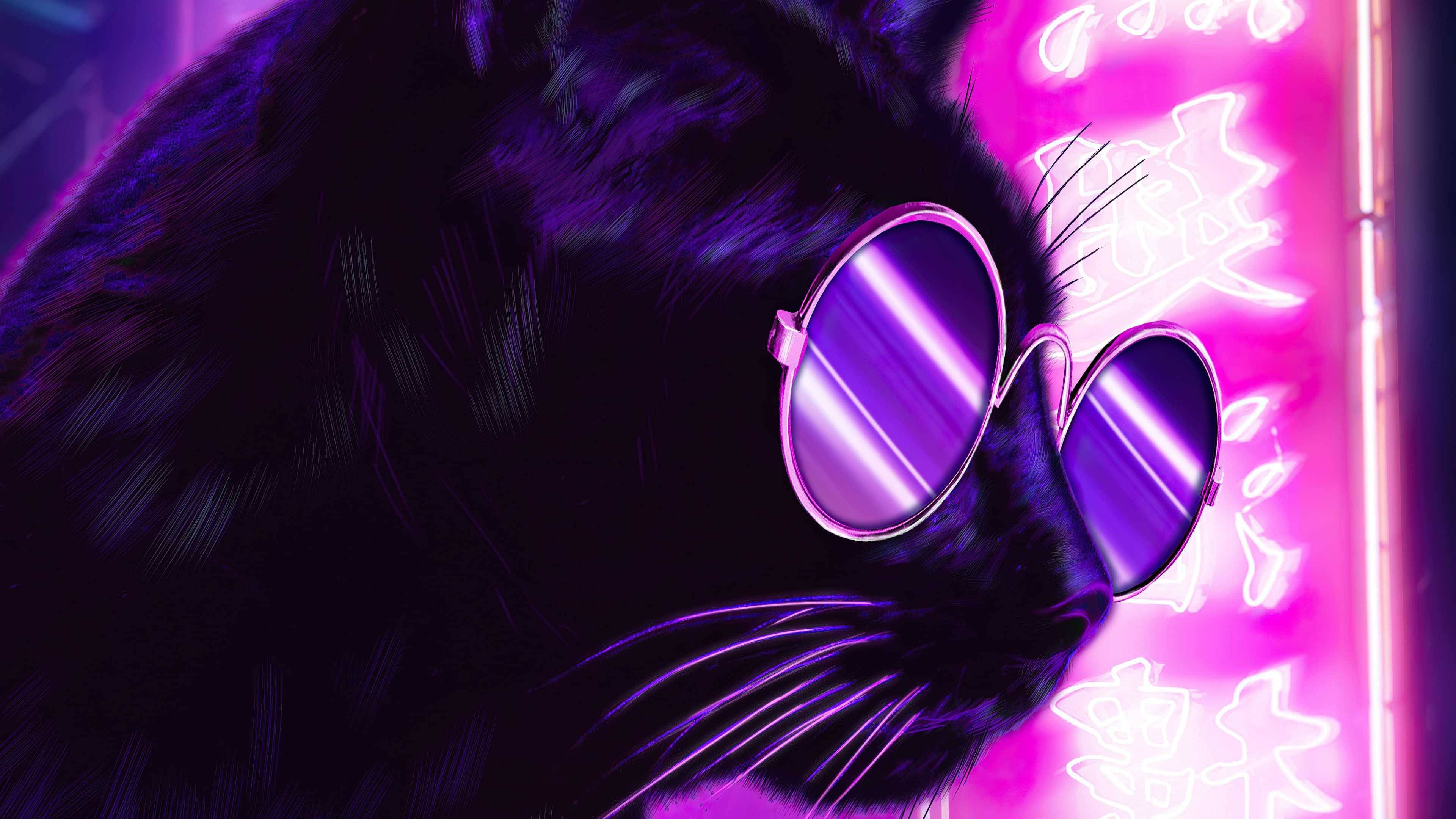 Aesthetic Black Cats Wallpapers