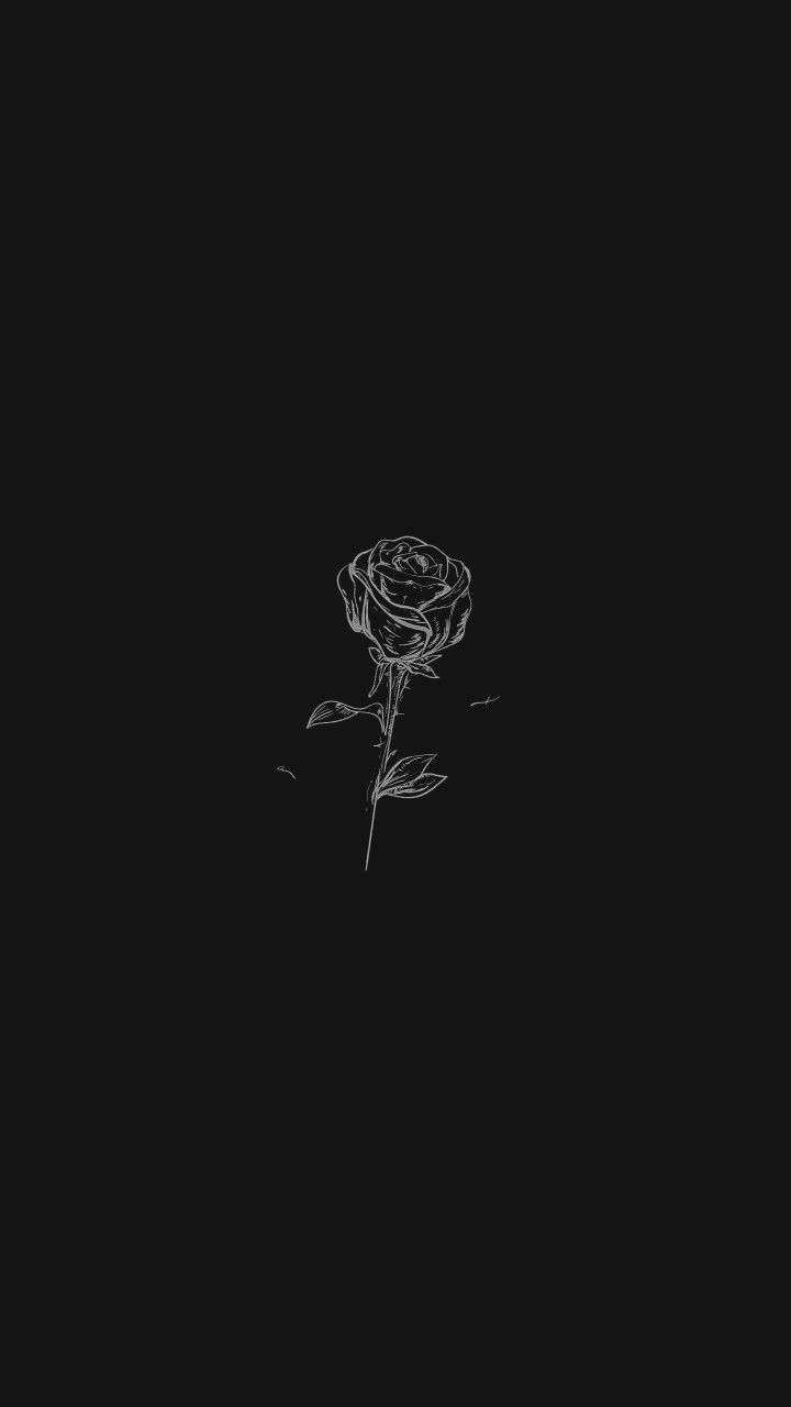 Aesthetic Black Rose Wallpapers