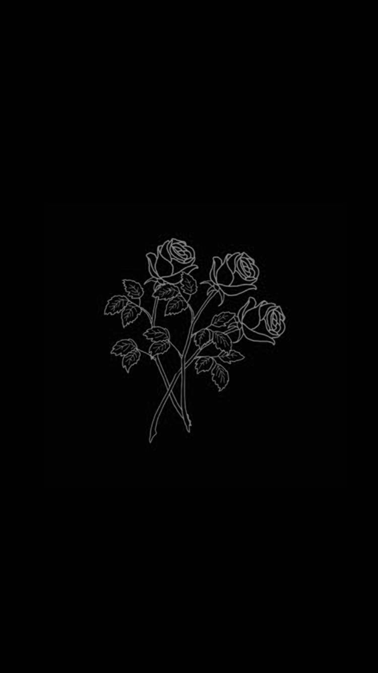 Aesthetic Black Rose Wallpapers