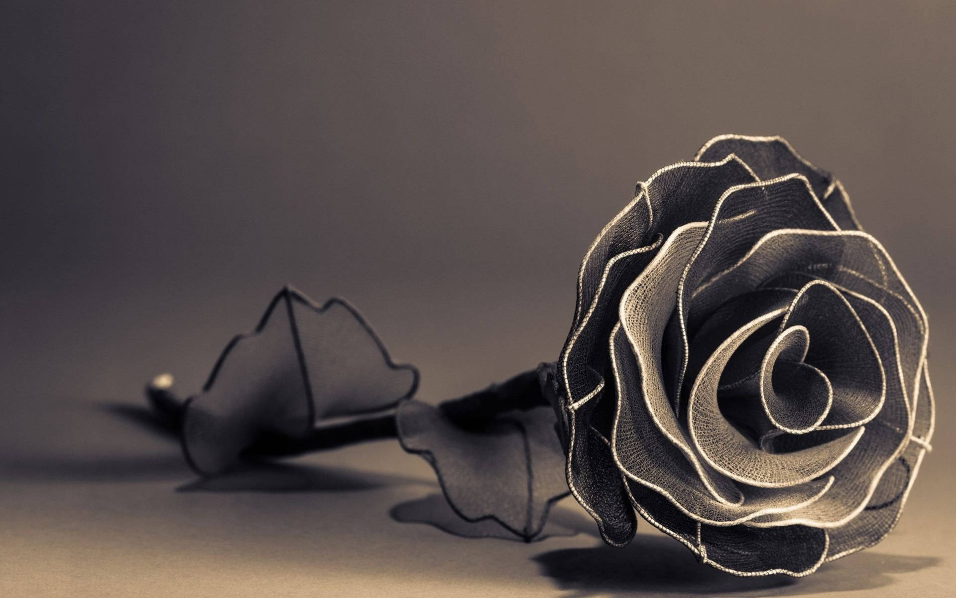 Aesthetic Black Rose Wallpapers