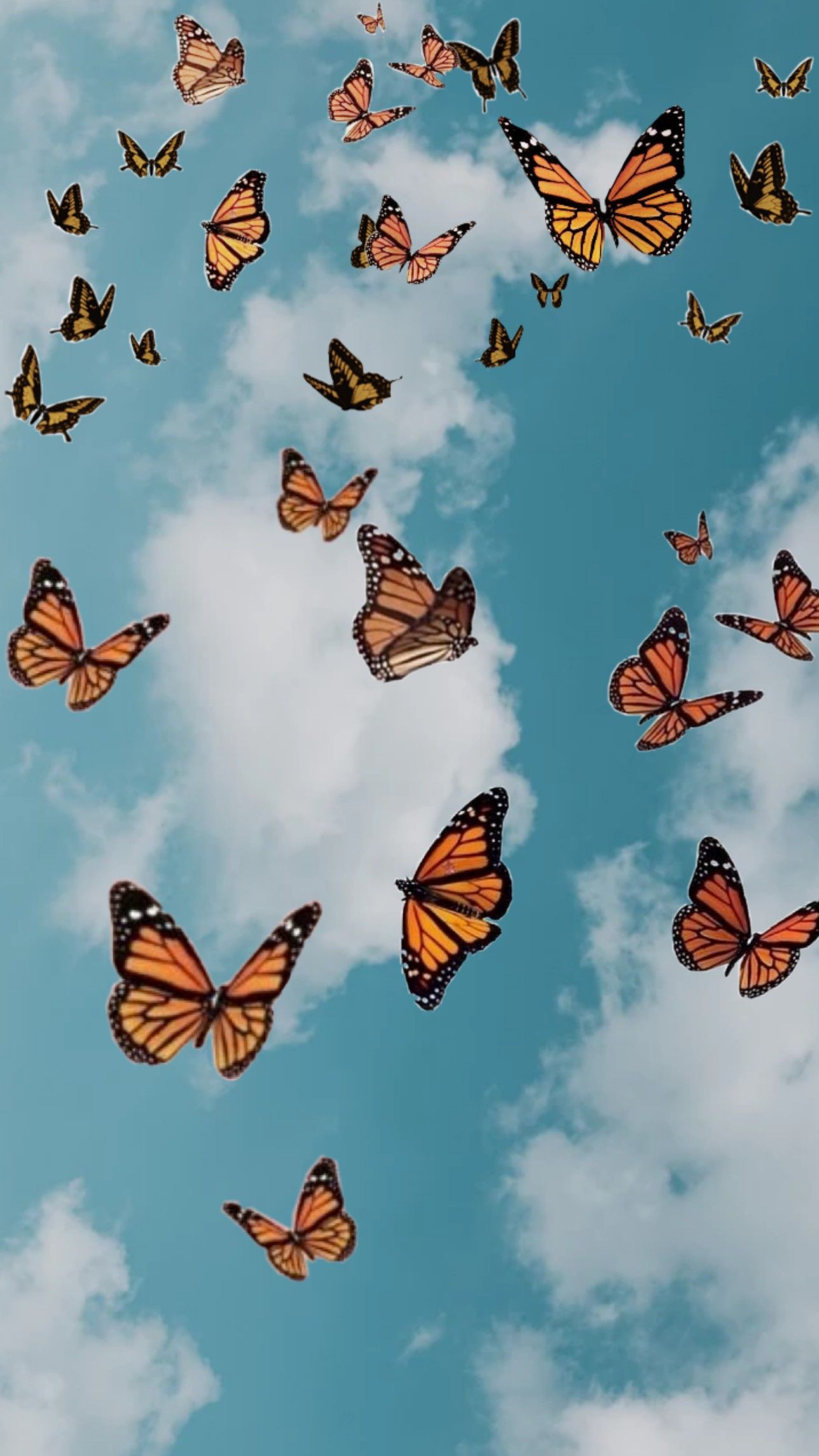 Aesthetic Butterflies Wallpapers