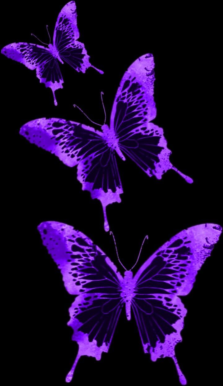 Aesthetic Butterfly Purple Wallpapers