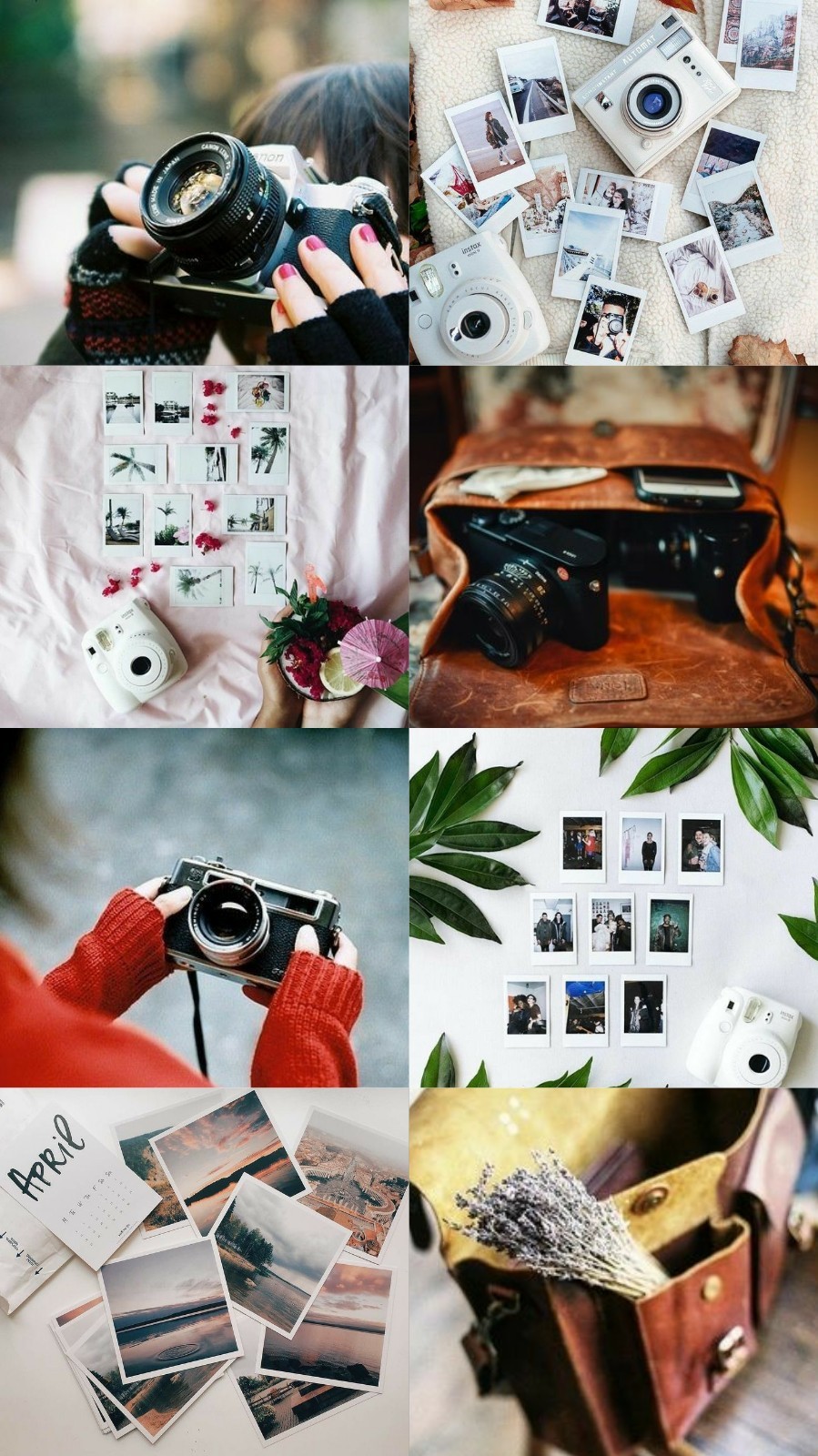 Aesthetic Camera Wallpapers