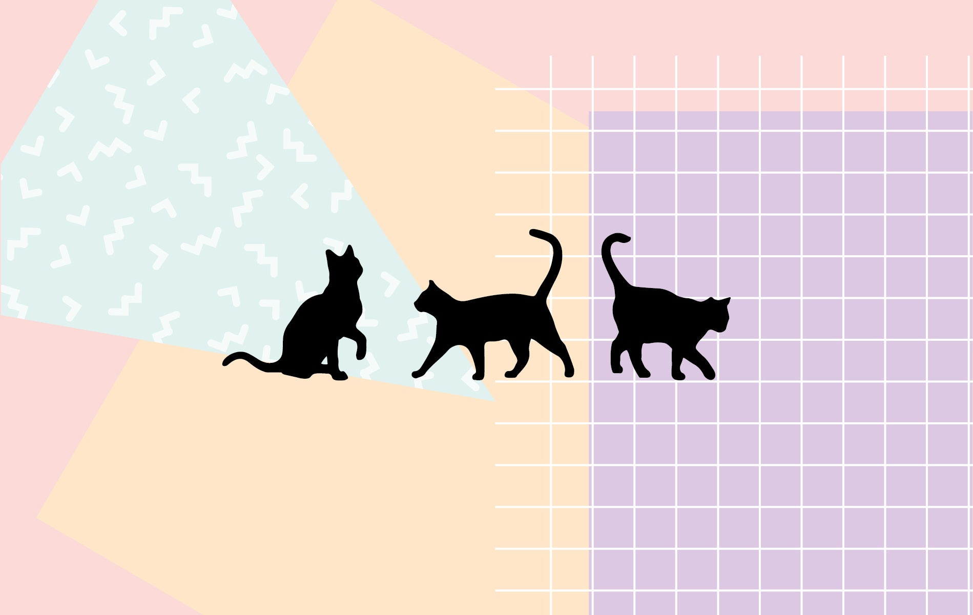 Aesthetic Cat Art Wallpapers
