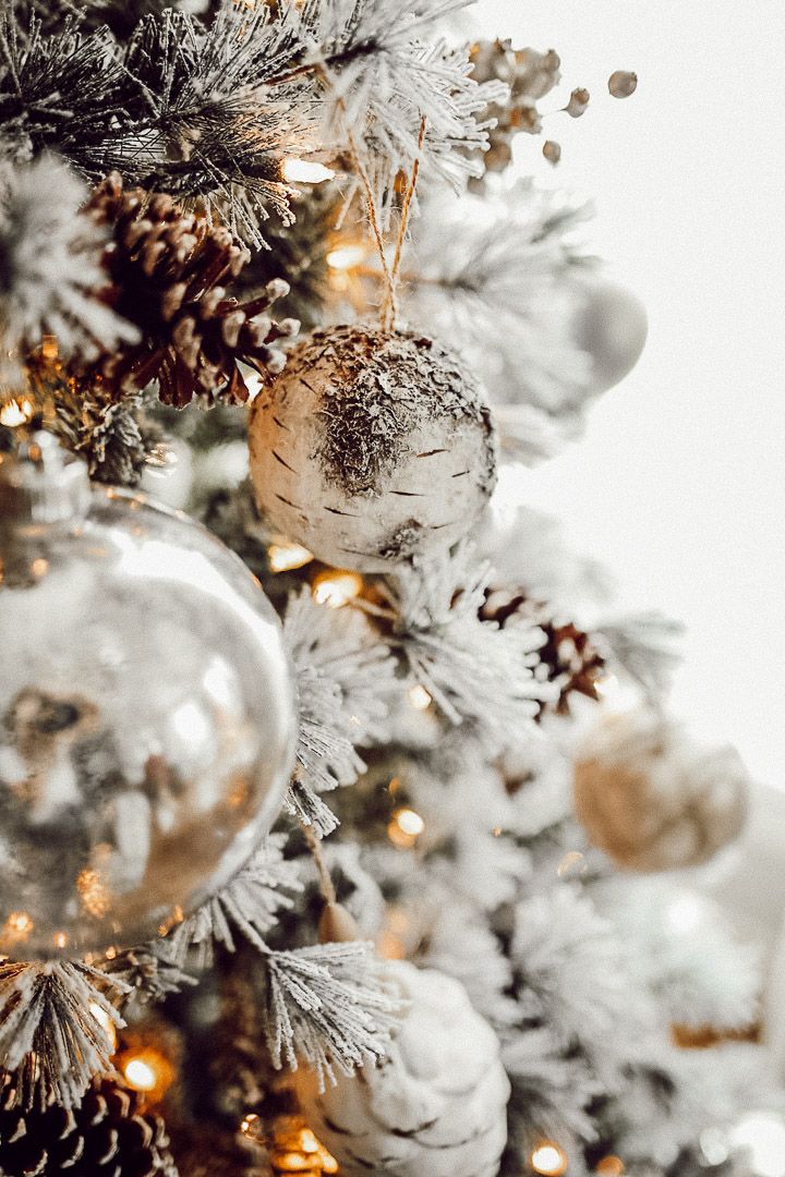 Aesthetic Christmas Tree Wallpapers