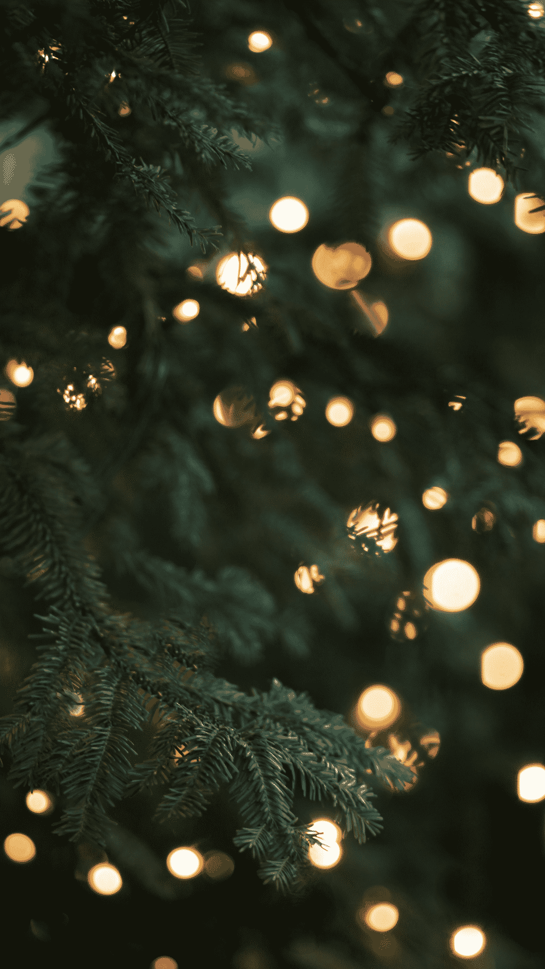 Aesthetic Christmas Tree Wallpapers