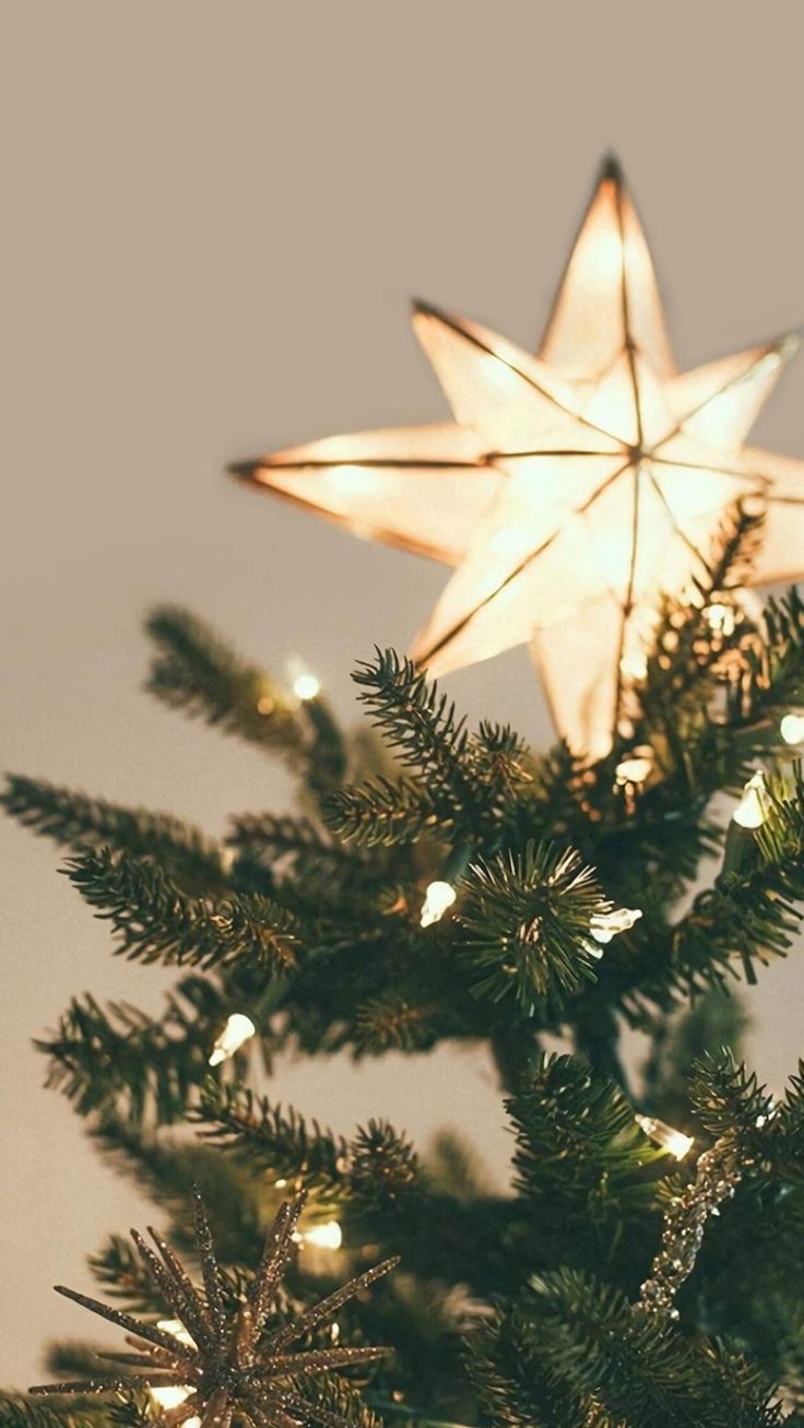 Aesthetic Christmas Tree Wallpapers