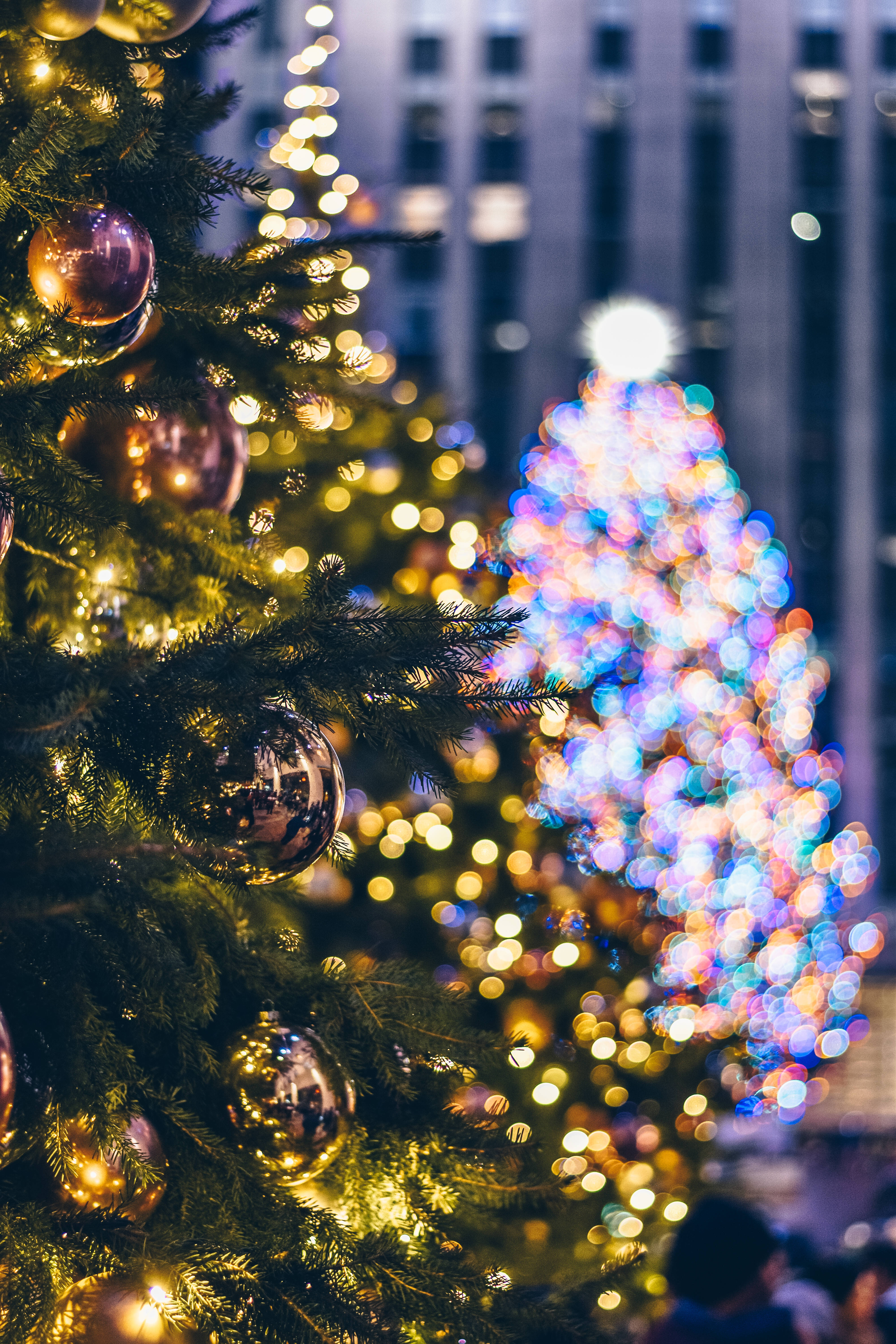 Aesthetic Christmas Tree Wallpapers