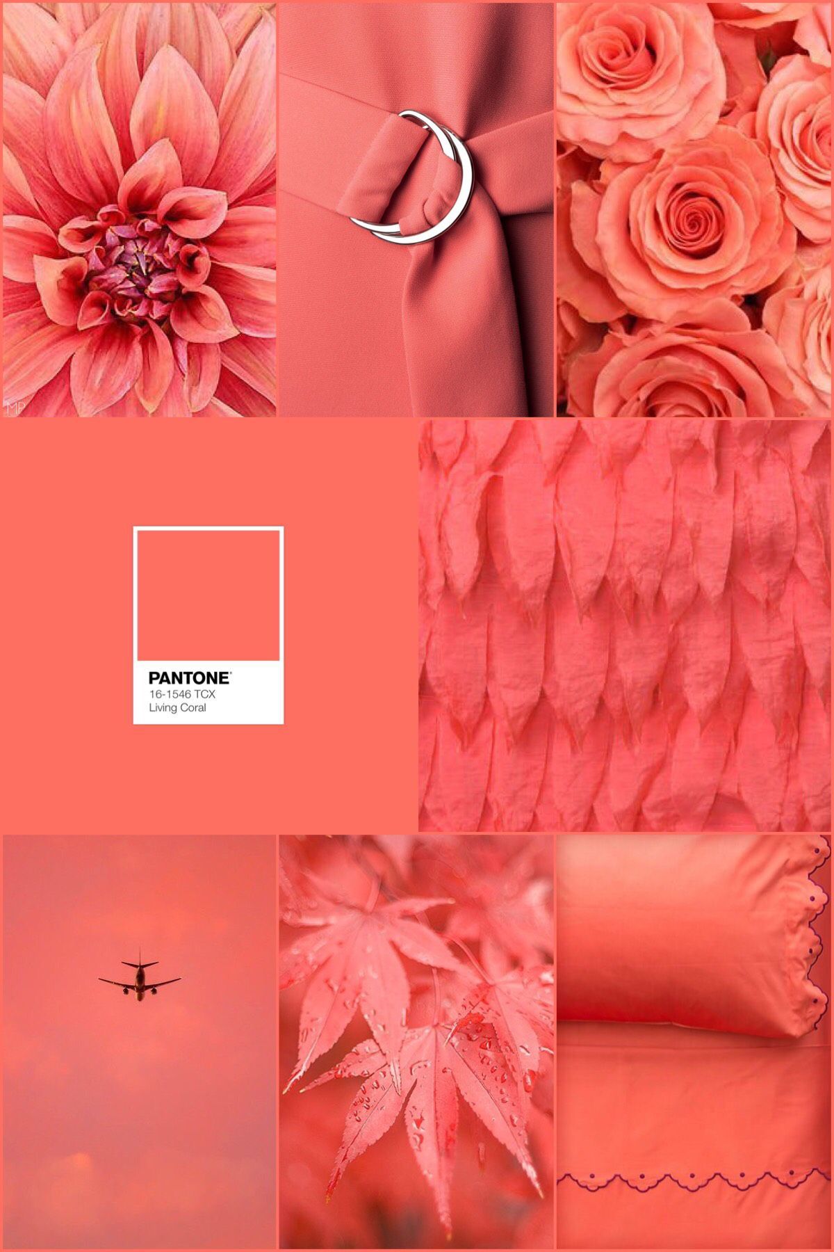 Aesthetic Coral Pink Wallpapers