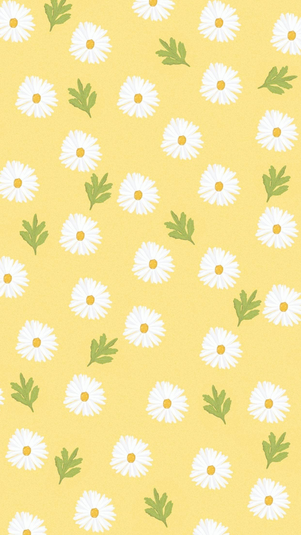 Aesthetic Daisy Wallpapers