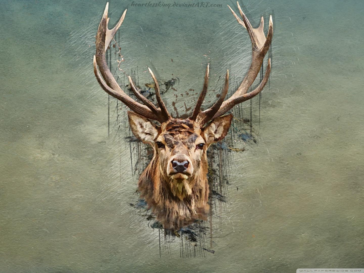 Aesthetic Deer Wallpapers